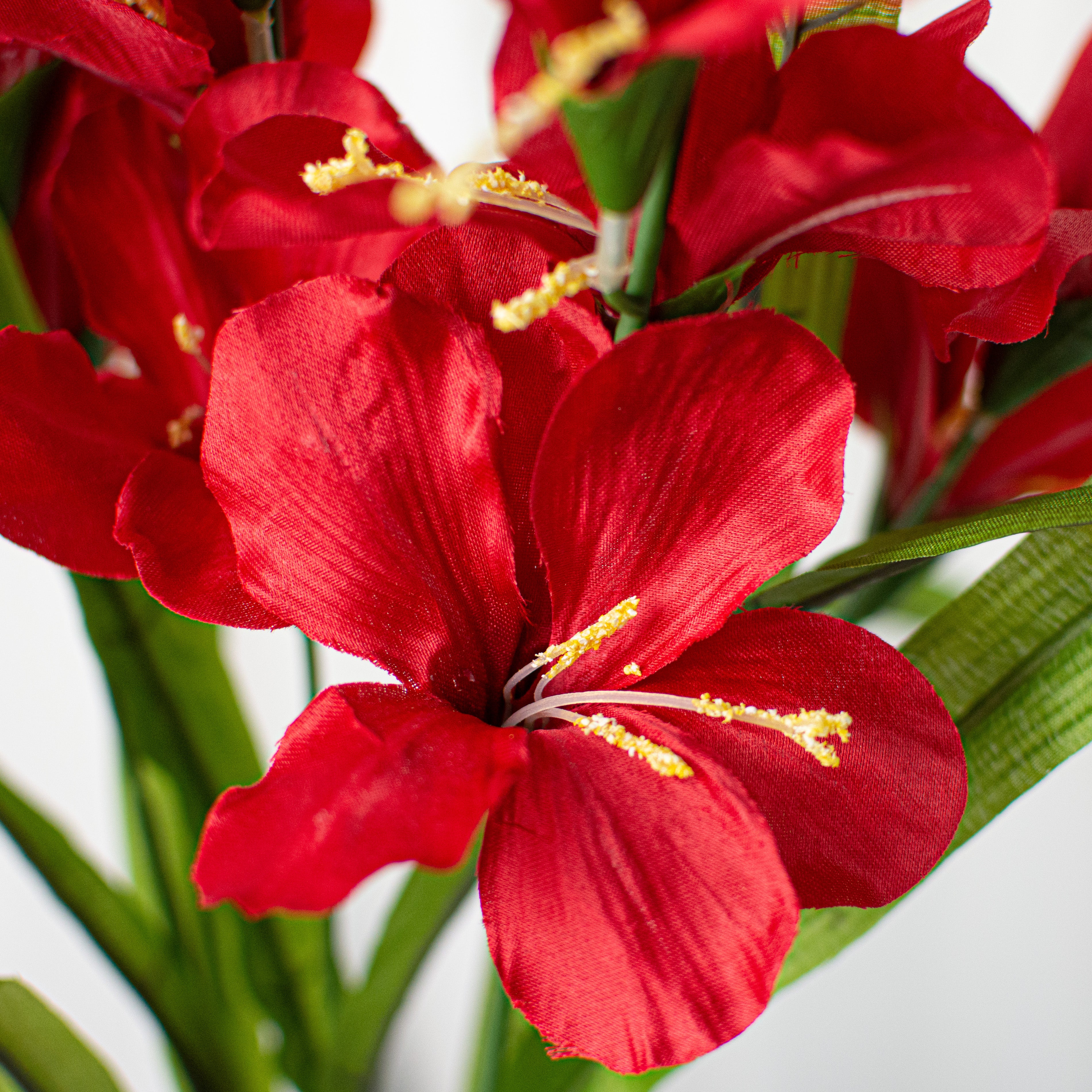 28" Colorfast Gladiolus Bush: Red Lifestyle Photo
