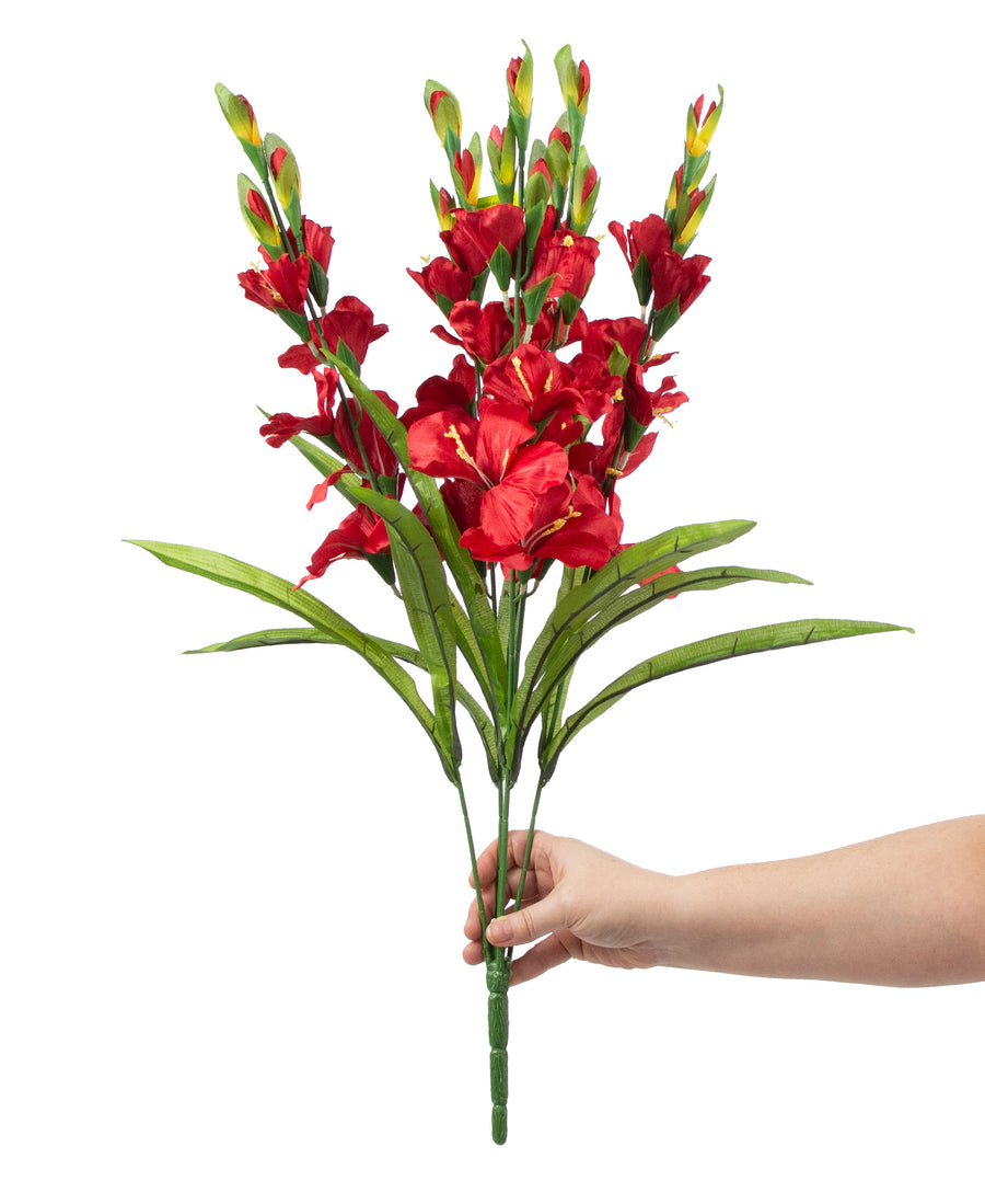 28" Colorfast Gladiolus Bush: Red detail photo 3