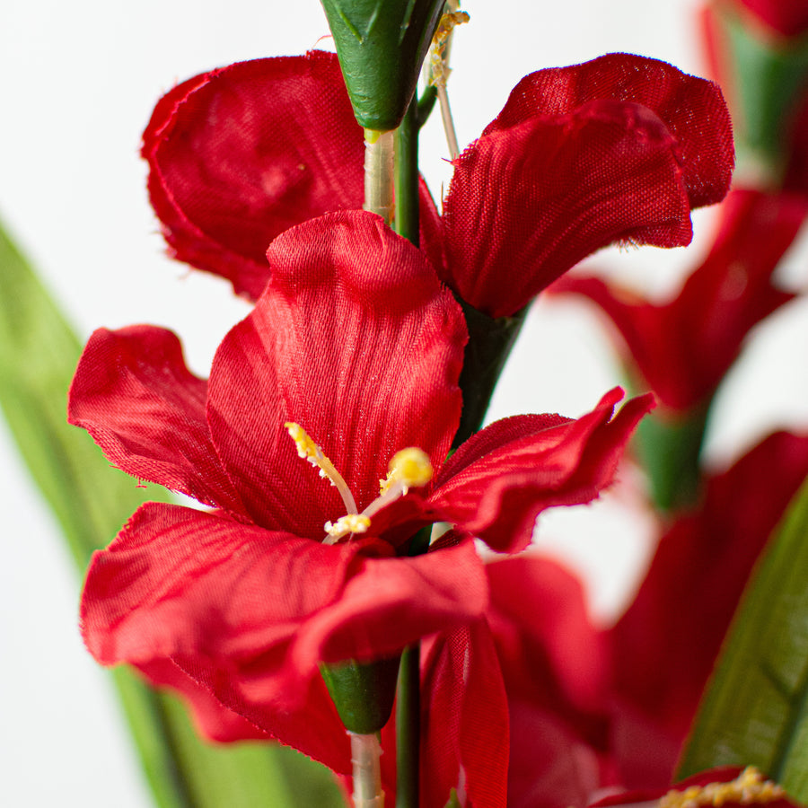 28" Colorfast Gladiolus Bush: Red detail photo 4