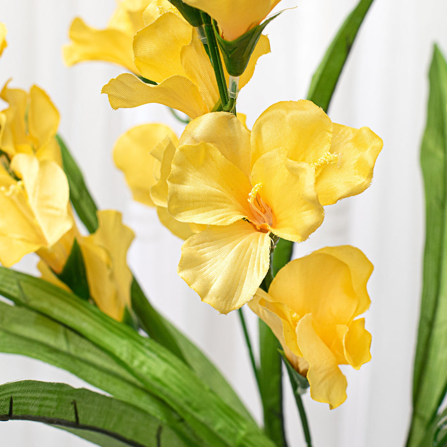 28" Colorfast Gladiolus Bush: Yellow Lifestyle Photo