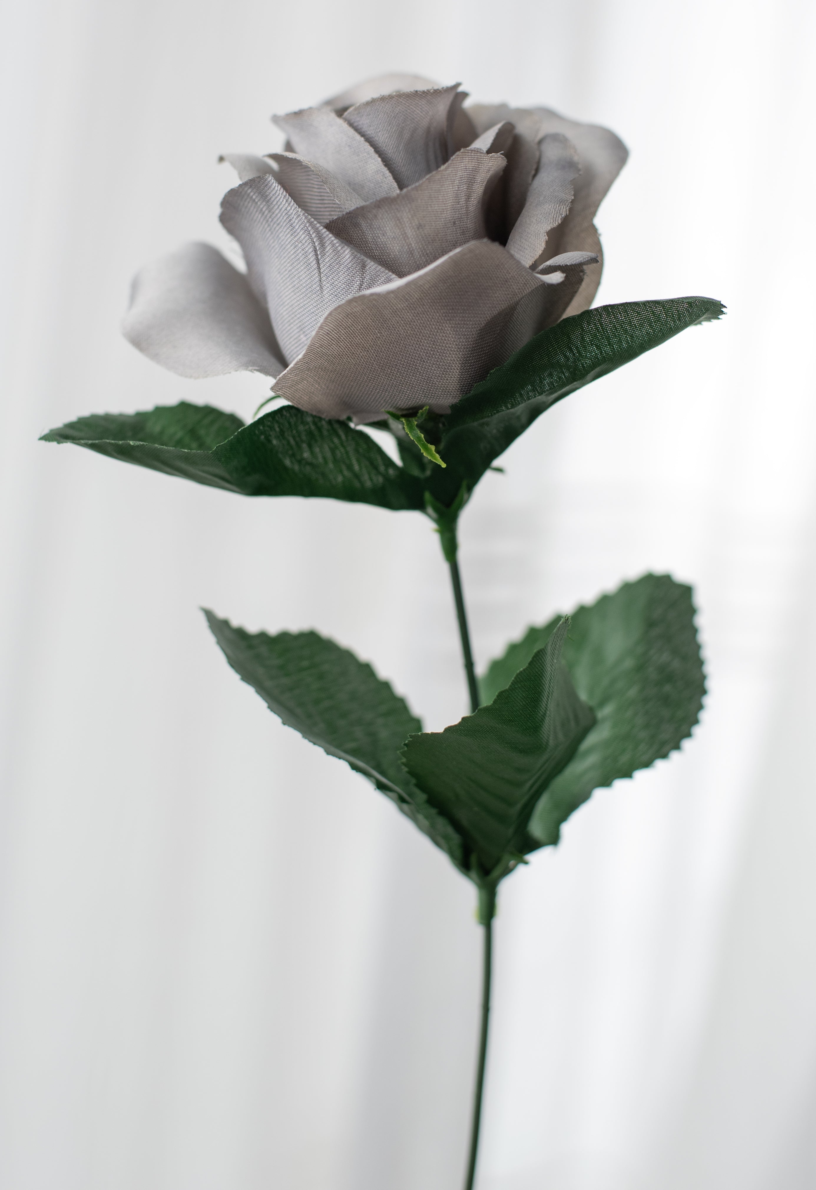 17" Colorfast Lillian Open Rose Bush (12): Ash Grey detail photo 4