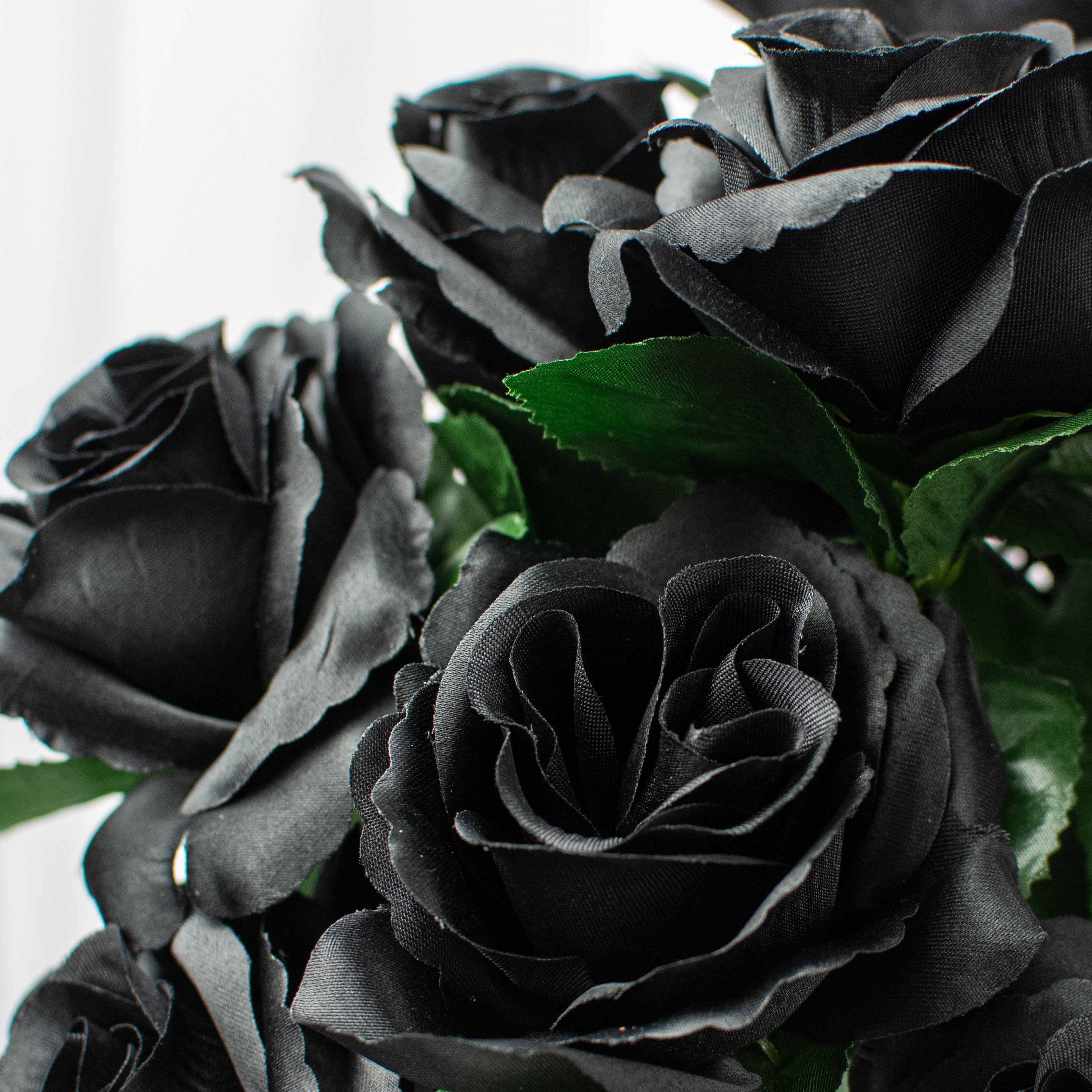 17" Colorfast Lillian Open Rose Bush: Black & Green (12) Lifestyle Photo