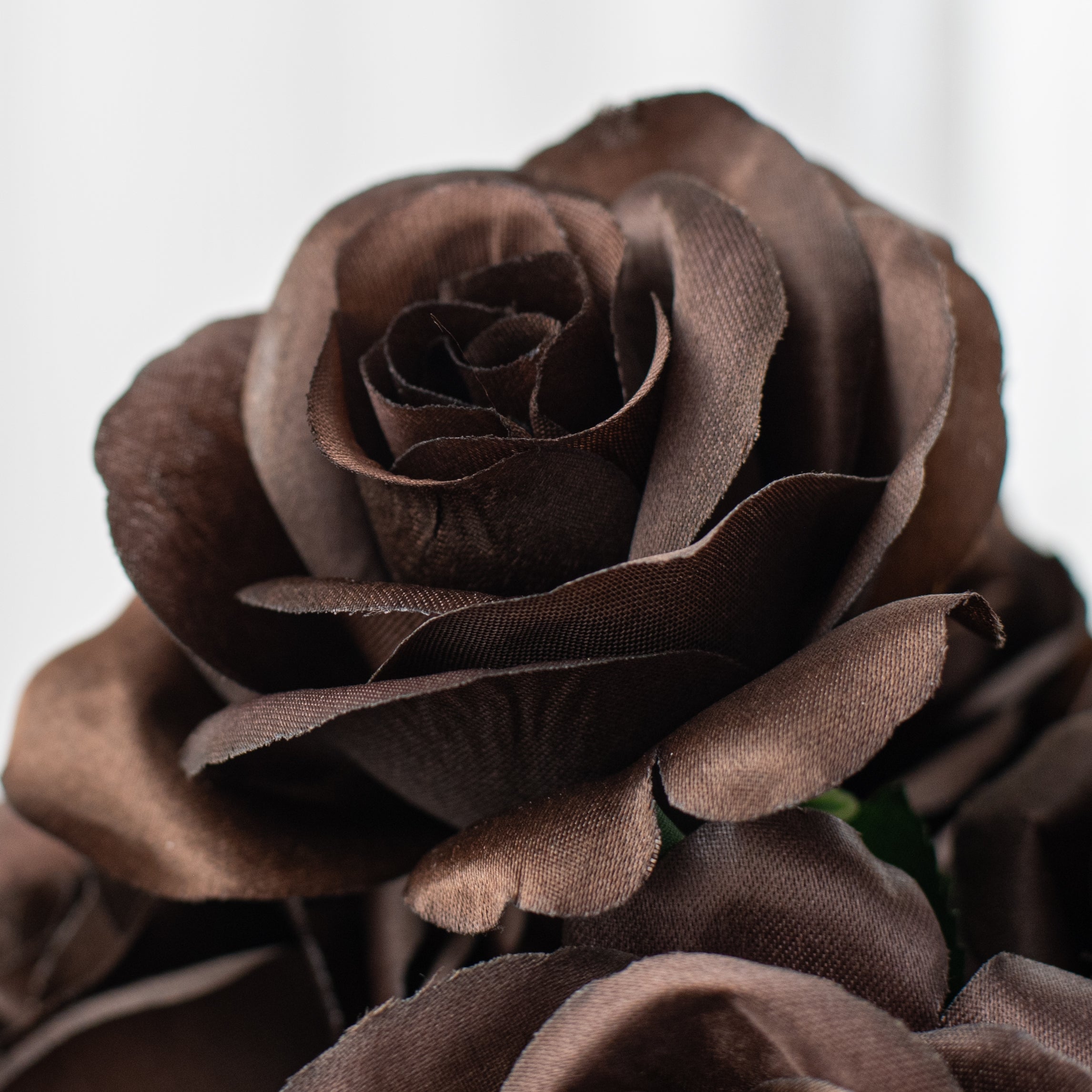 17" Colorfast Lillian Open Rose Bush (12): Chocolate Brown Lifestyle Photo