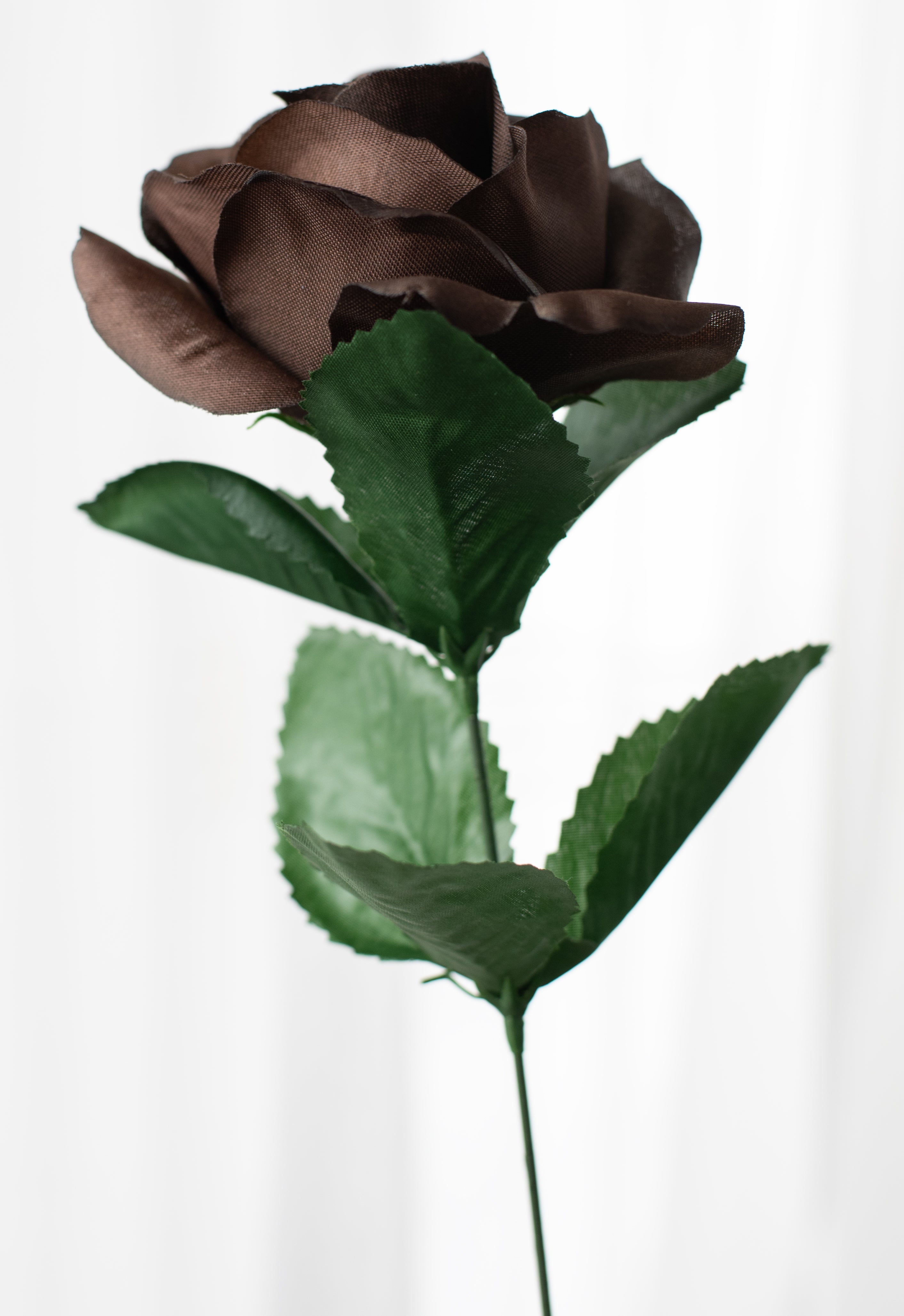 17" Colorfast Lillian Open Rose Bush (12): Chocolate Brown detail photo 4