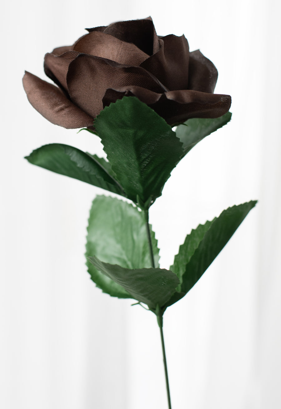 17" Colorfast Lillian Open Rose Bush (12): Chocolate Brown detail photo 4