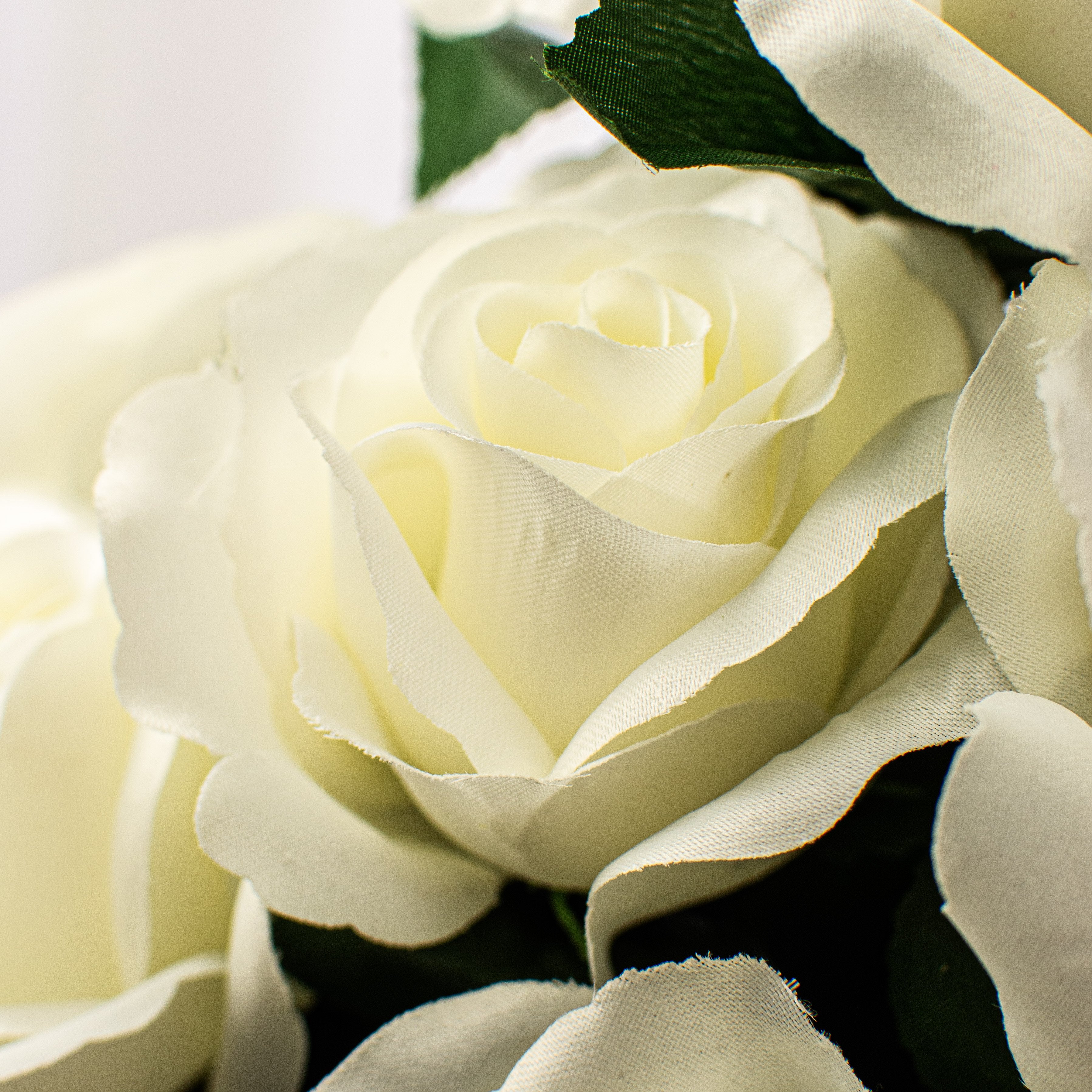 17" Colorfast Lillian Open Rose Bush (12): Cream Lifestyle Photo