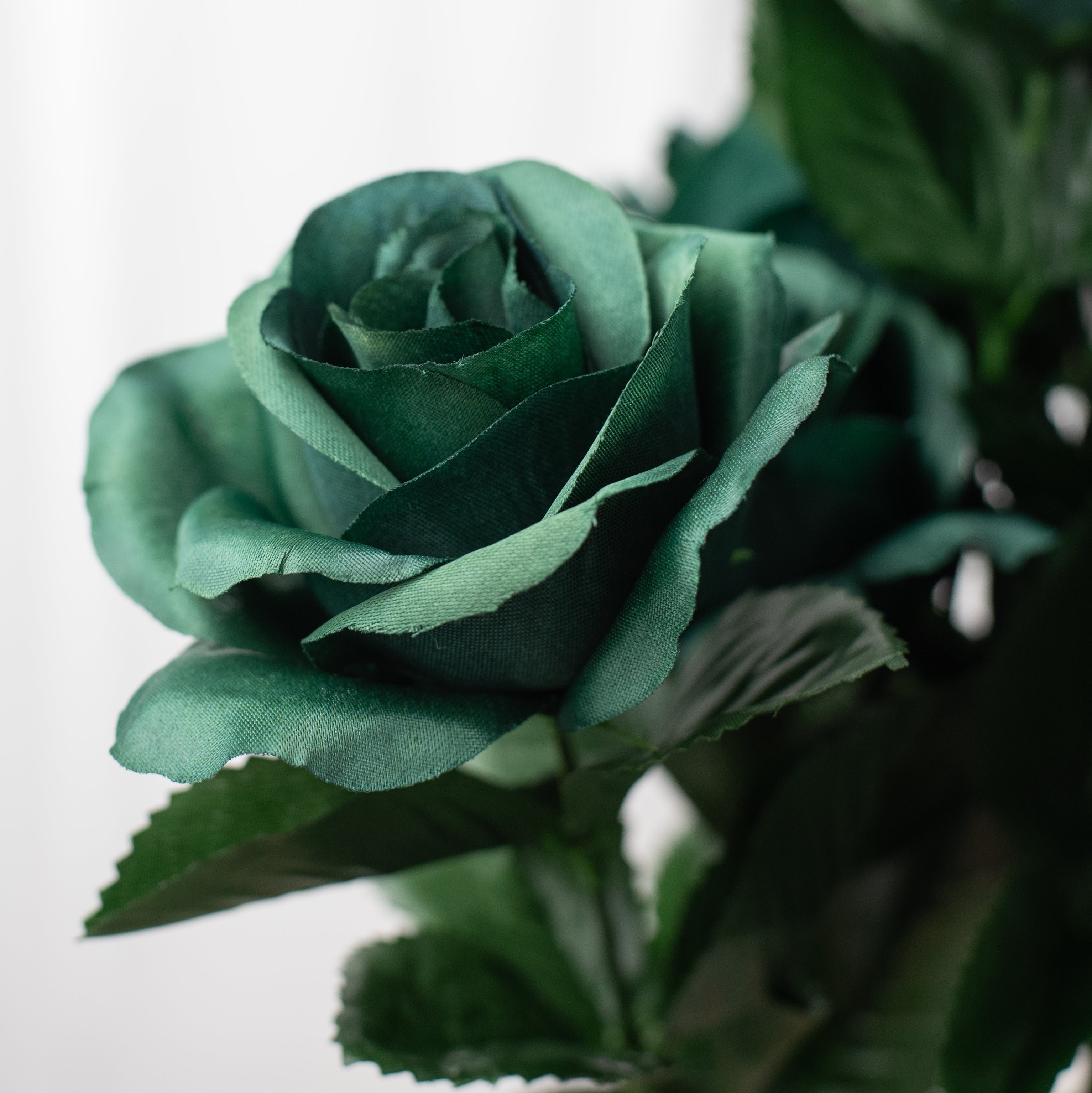 17" Colorfast Lillian Open Rose Bush (12): Emerald Green Lifestyle Photo