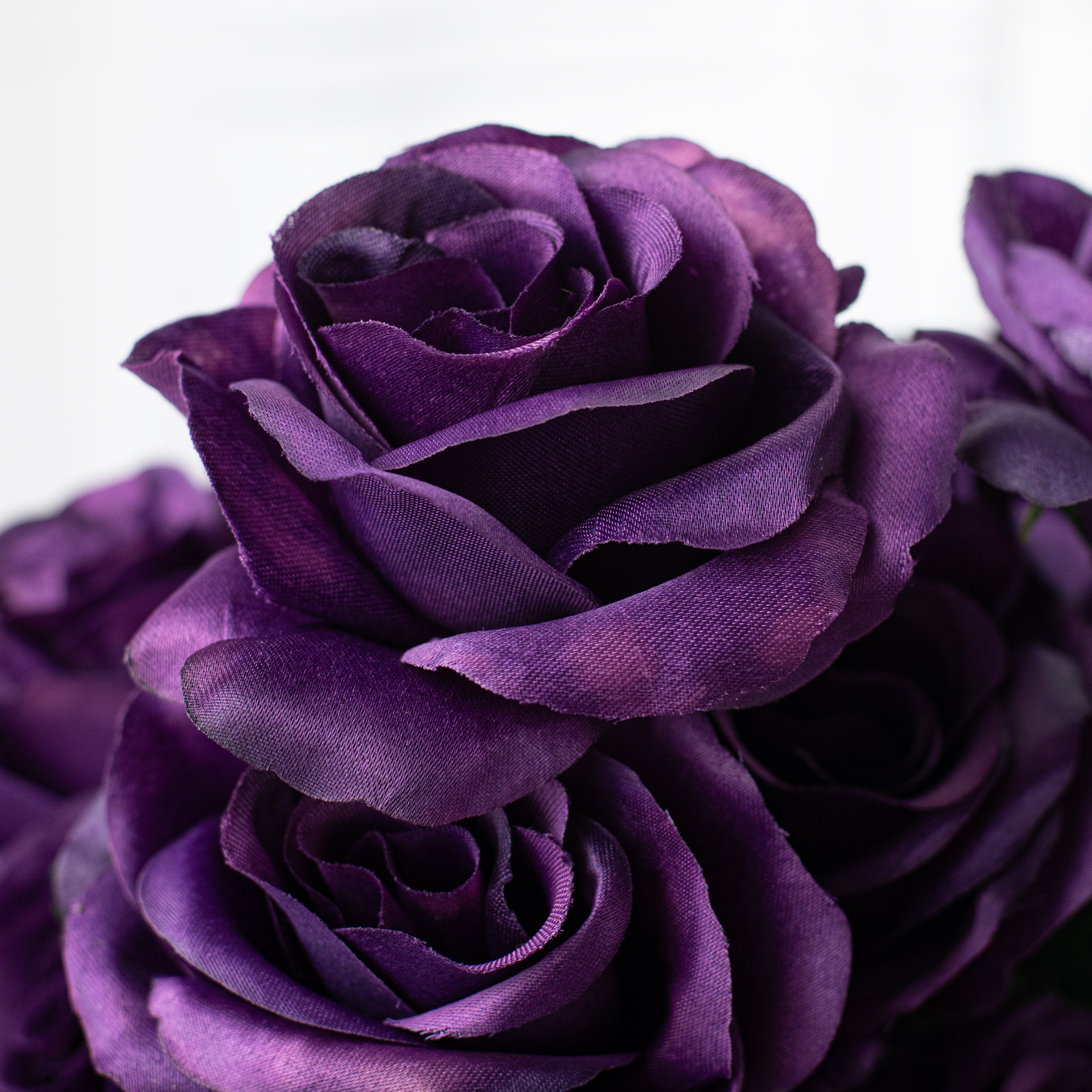 17" Colorfast Lillian Open Rose Bush: Grape Purple (12) Lifestyle Photo