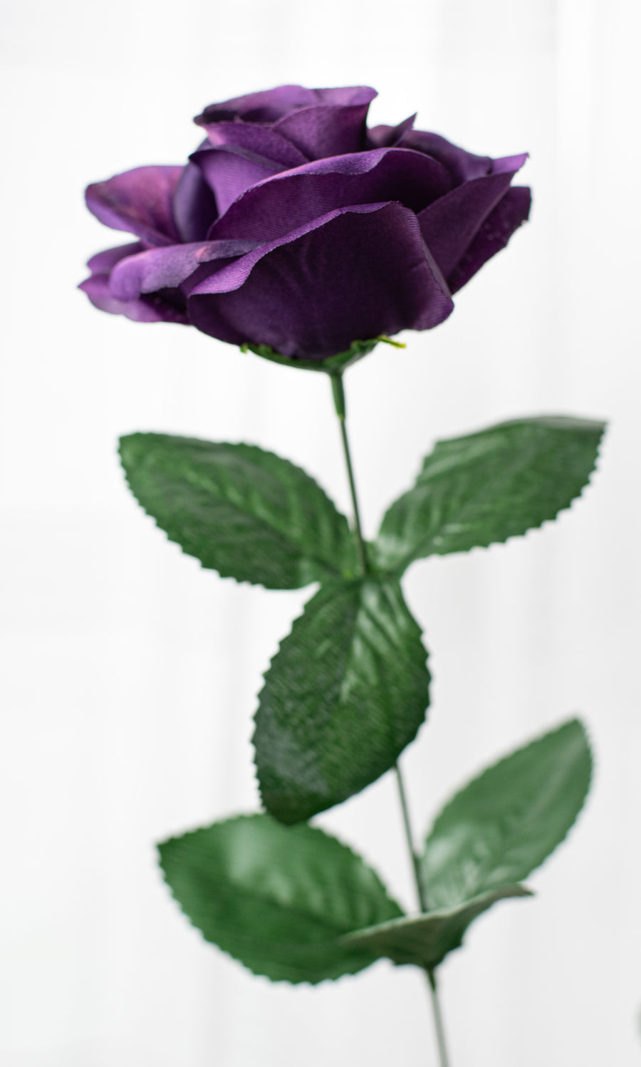 17" Colorfast Lillian Open Rose Bush: Grape Purple (12) detail photo 4