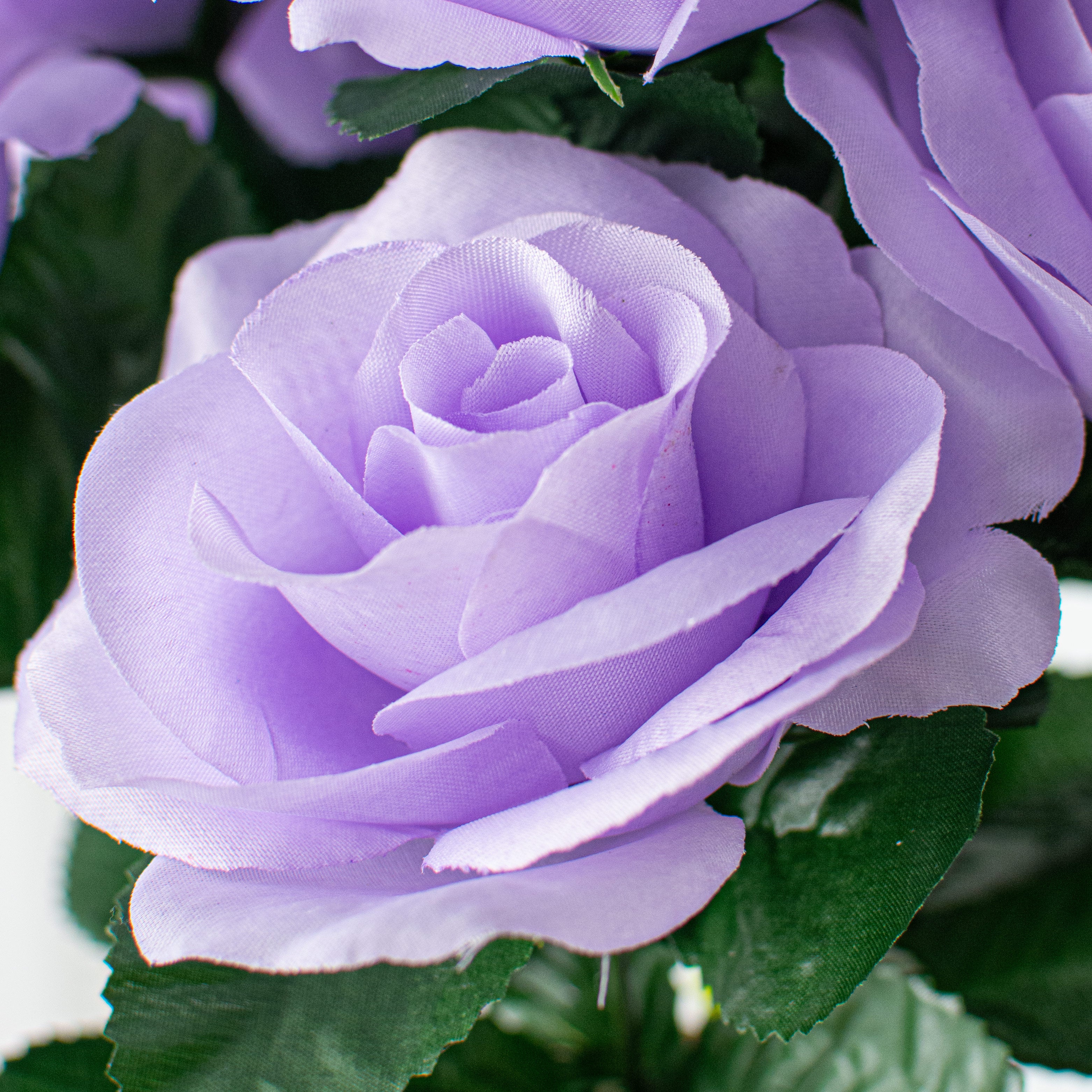 17" Colorfast Lillian Open Rose Bush: Lavender Lifestyle Photo