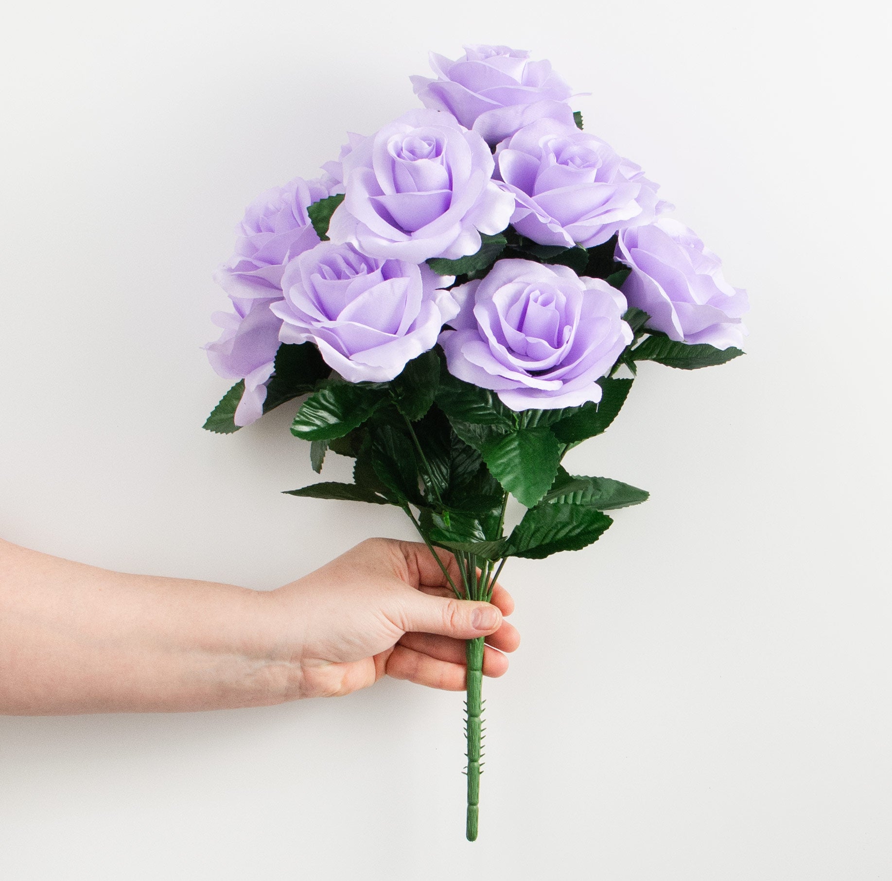 ROSE BUD 2017 PRE SPRING カタログ　森星 ROSE BUD 2017 PRE SPRING カタログ 森星 Sweet Drift® - Star