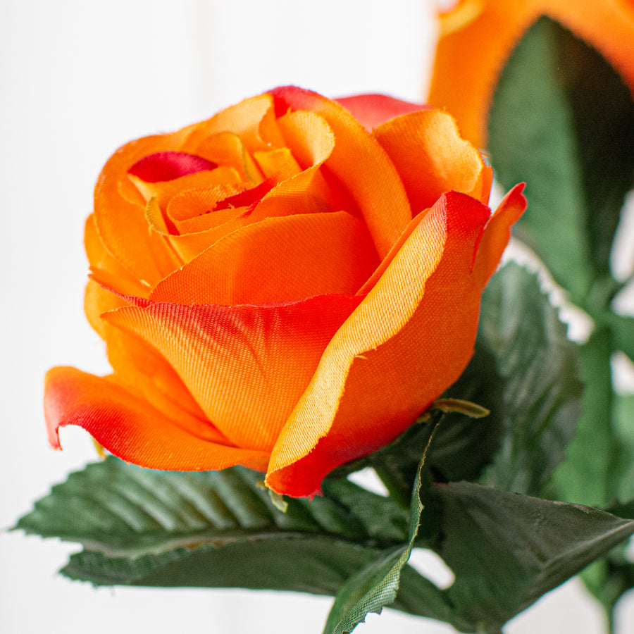 17" Colorfast Lillian Open Rose Bush: Orange Lifestyle Photo