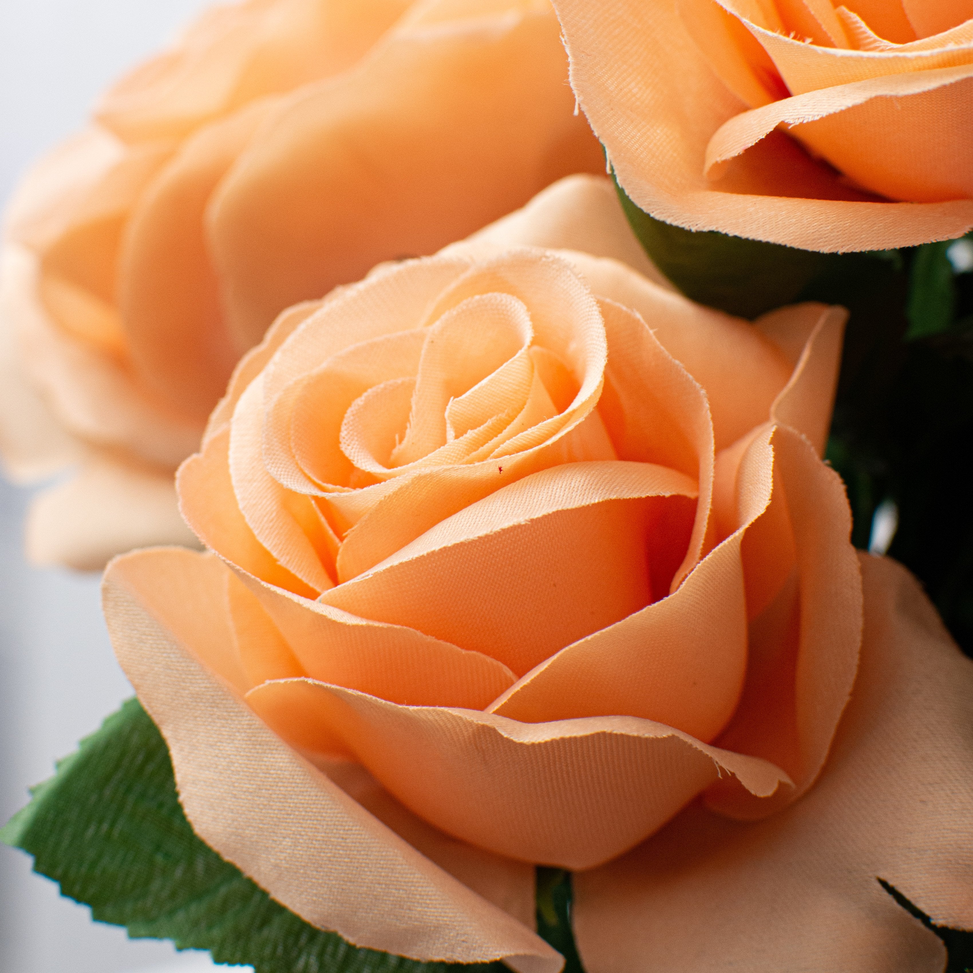 17" Colorfast Lillian Open Rose Bush (12): Peach Lifestyle Photo