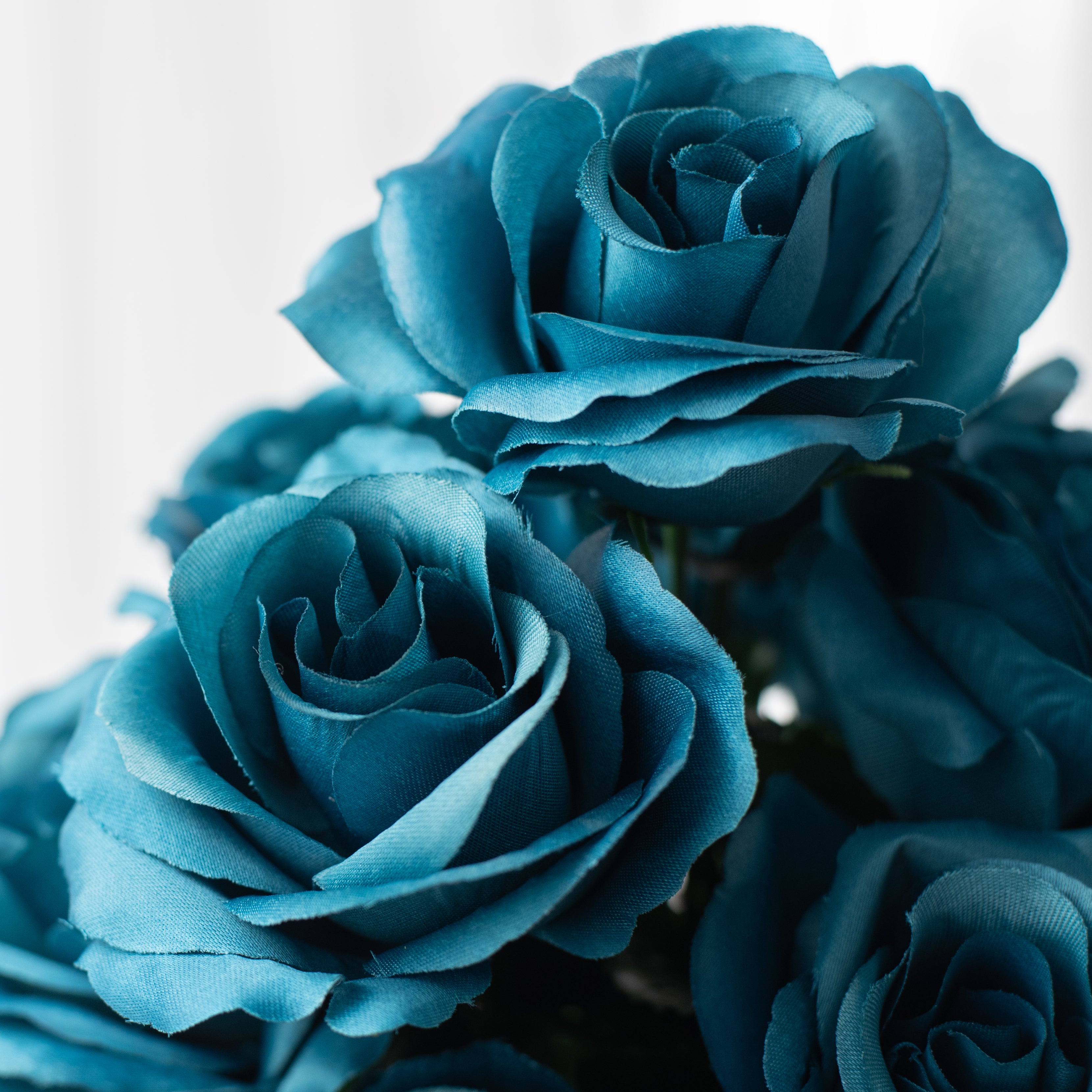 17" Colorfast Lillian Open Rose Bush (12): Teal Blue Lifestyle Photo