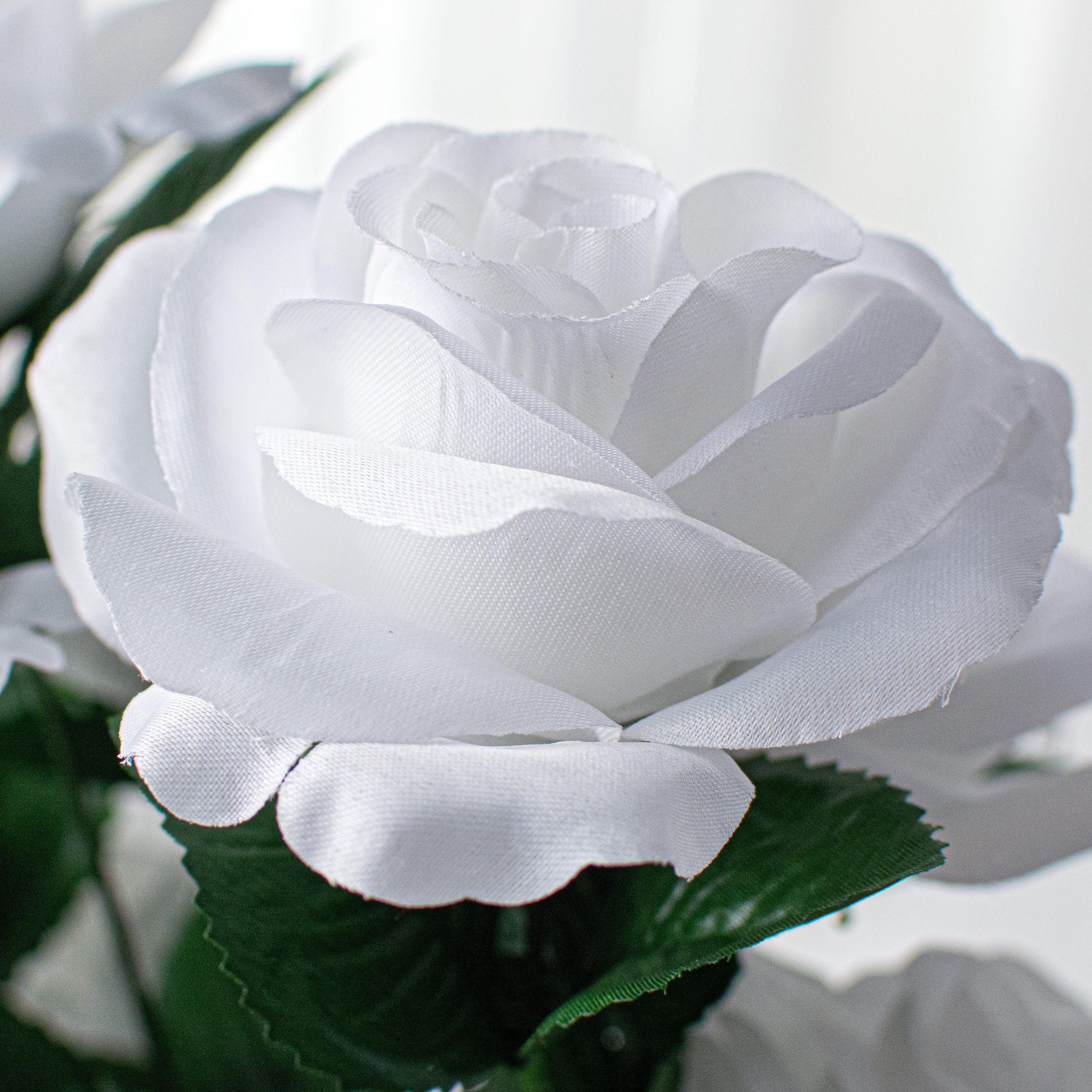 17" Colorfast Lillian Open Rose Bush (12): White detail photo 4