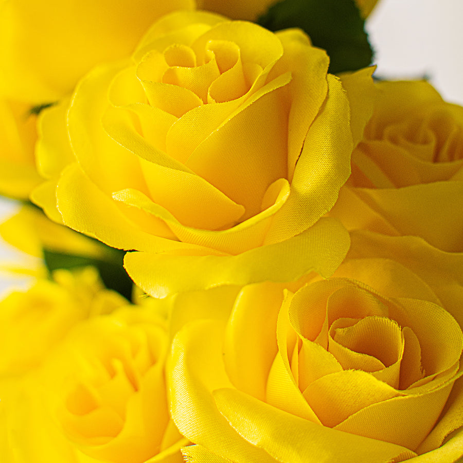 17" Colorfast Lillian Open Rose Bush: Yellow Lifestyle Photo