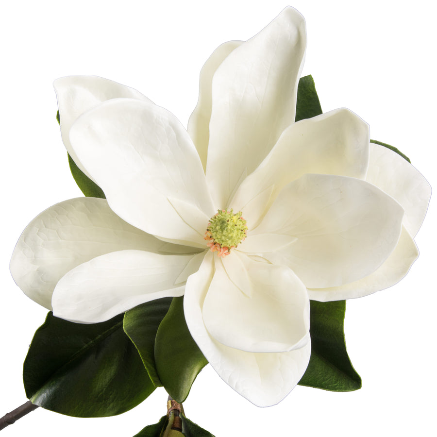 42" Colossal Magnolia Flower Spray: White detail photo 3