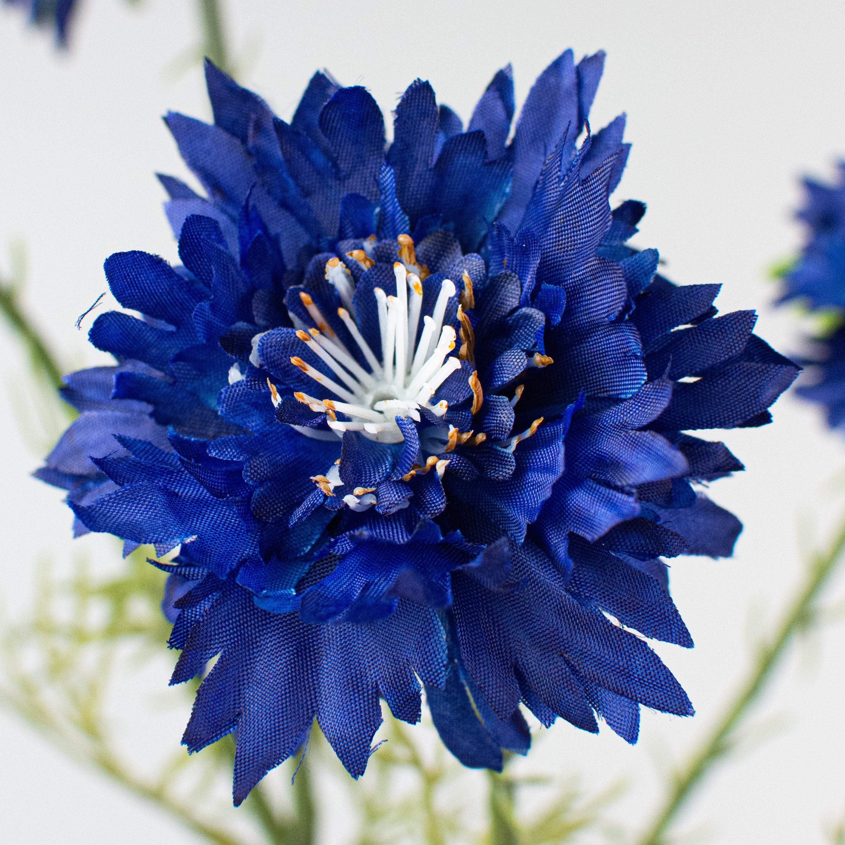 22" Cornflower Spray: Blue Lifestyle Photo