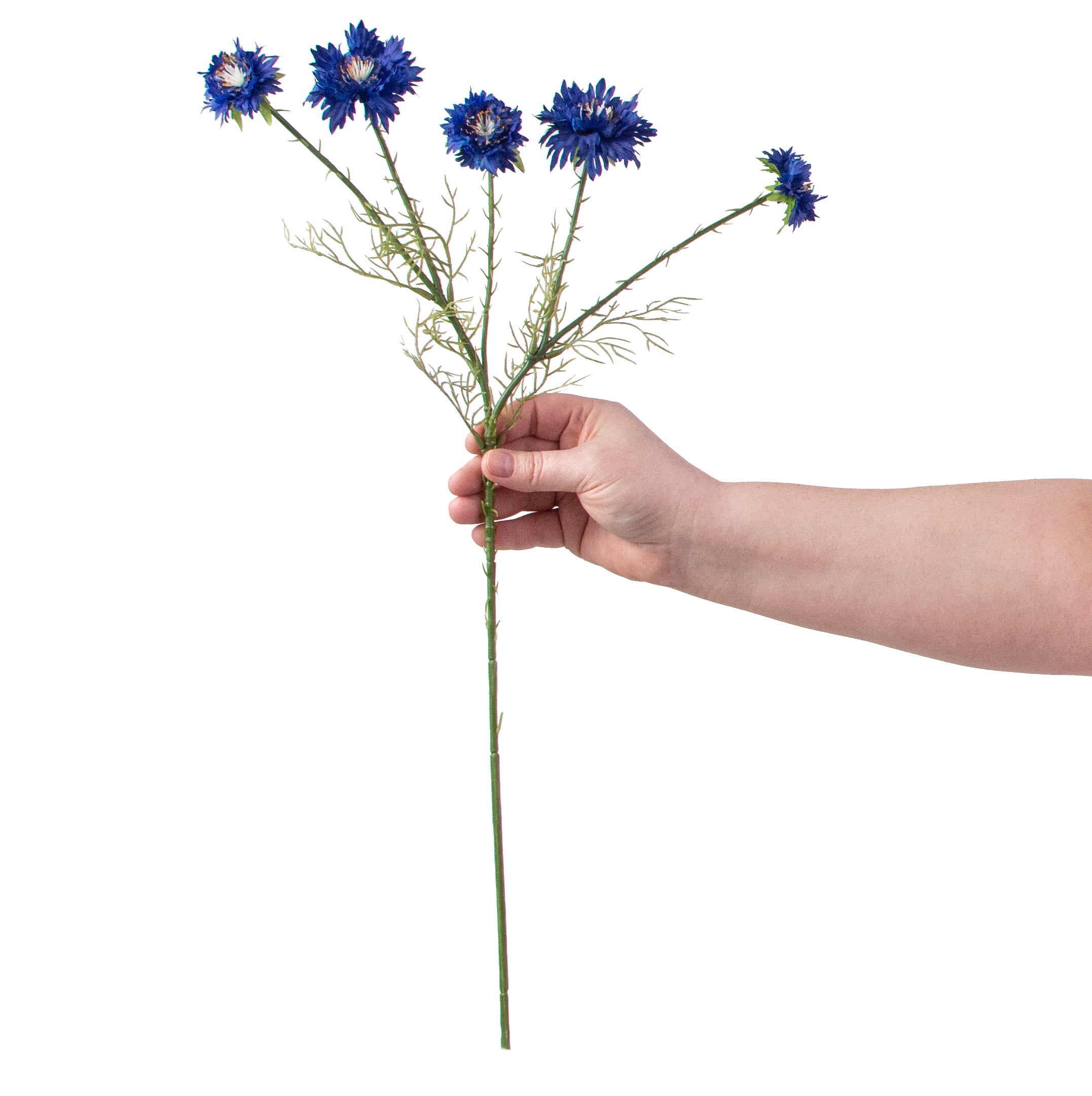 22" Cornflower Spray: Blue detail photo 3