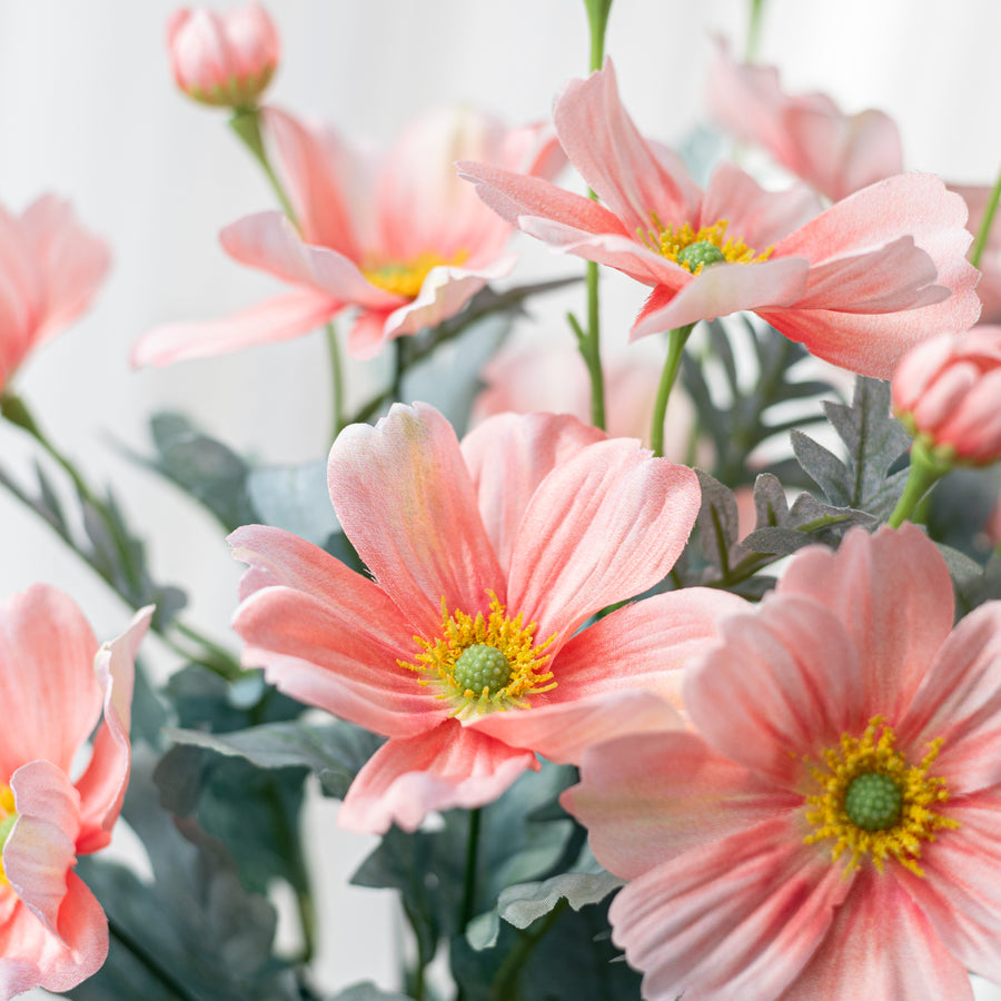 22" Cosmos Bush: Peach Pink (12 Stem) Lifestyle Photo
