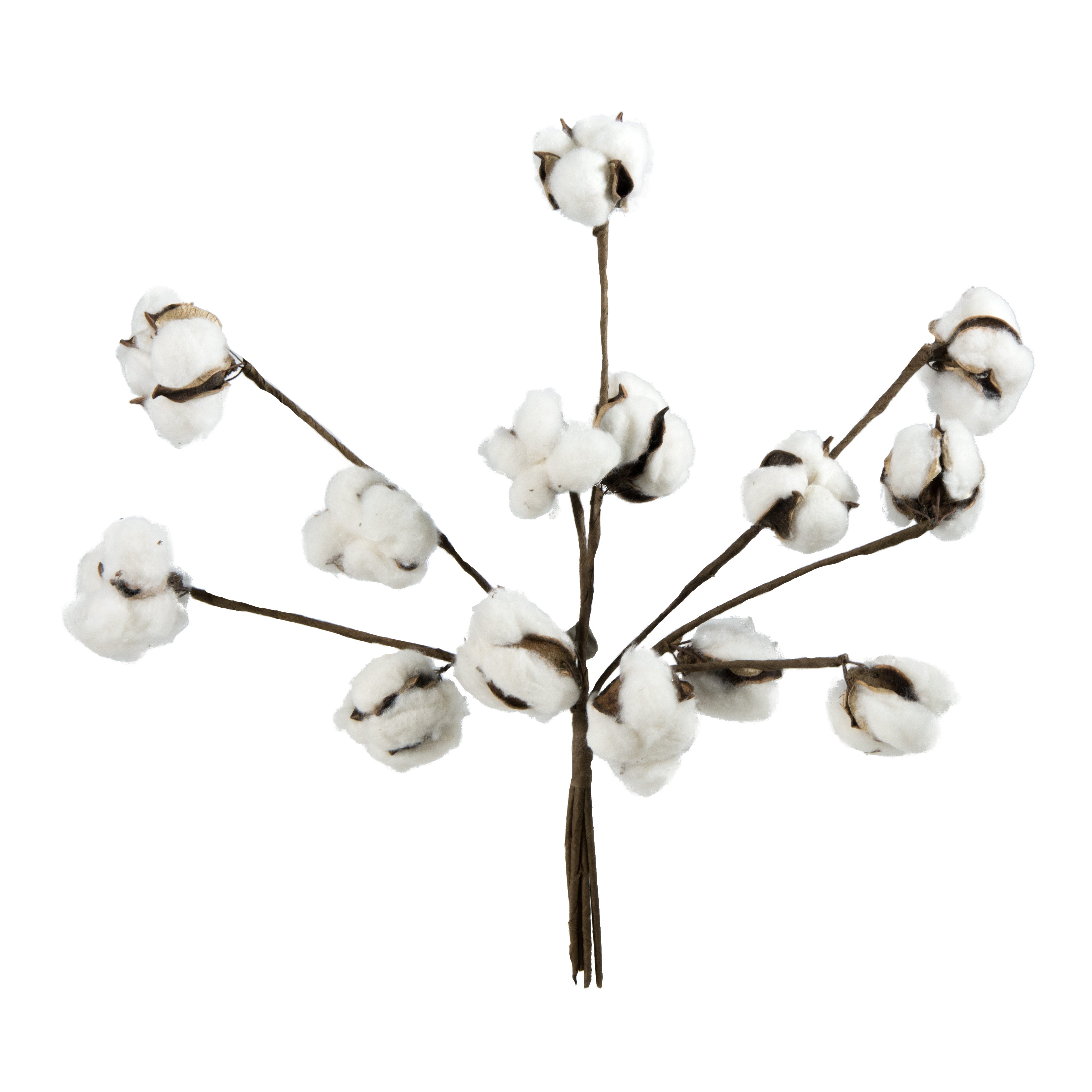 12" Cotton Ball Stem Bunch (7) Item Number: ISB63685