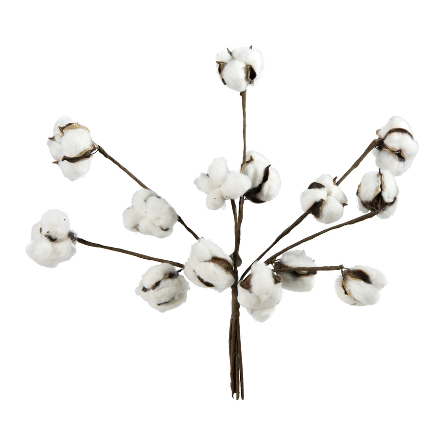 12" Cotton Ball Stem Bunch (7) Item Number: ISB63685