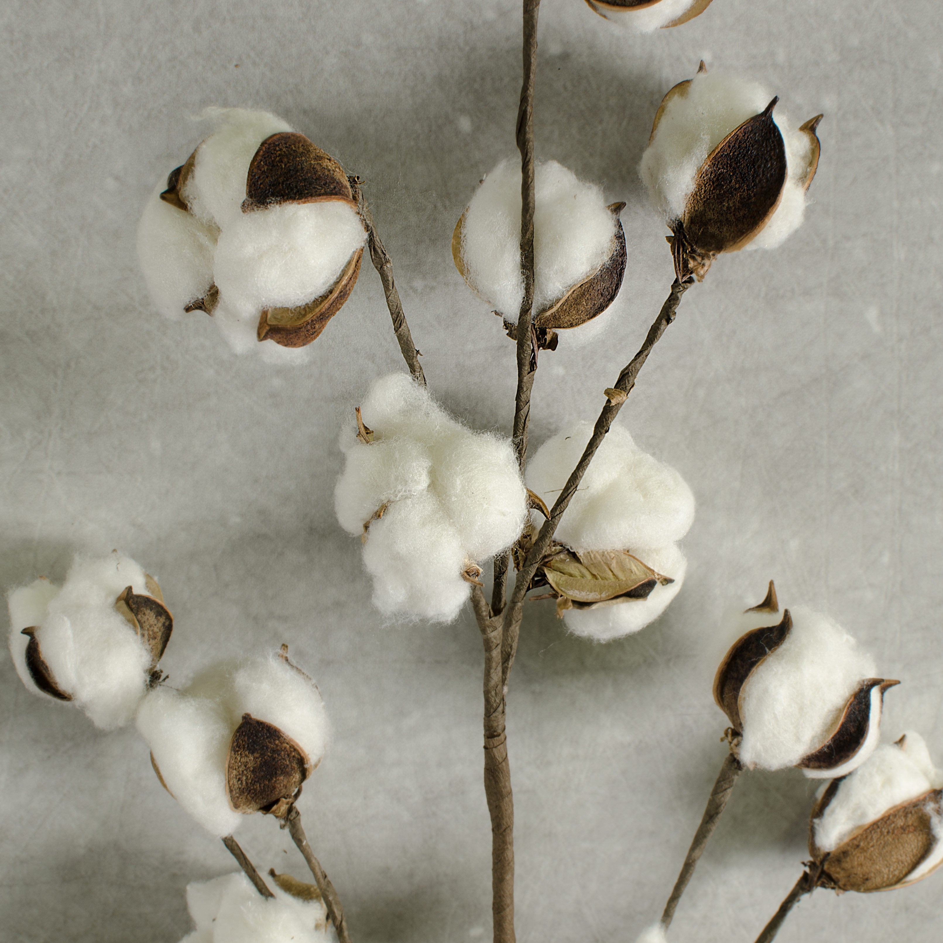 Cotton Boll Floral Spray: 32" Lifestyle Photo