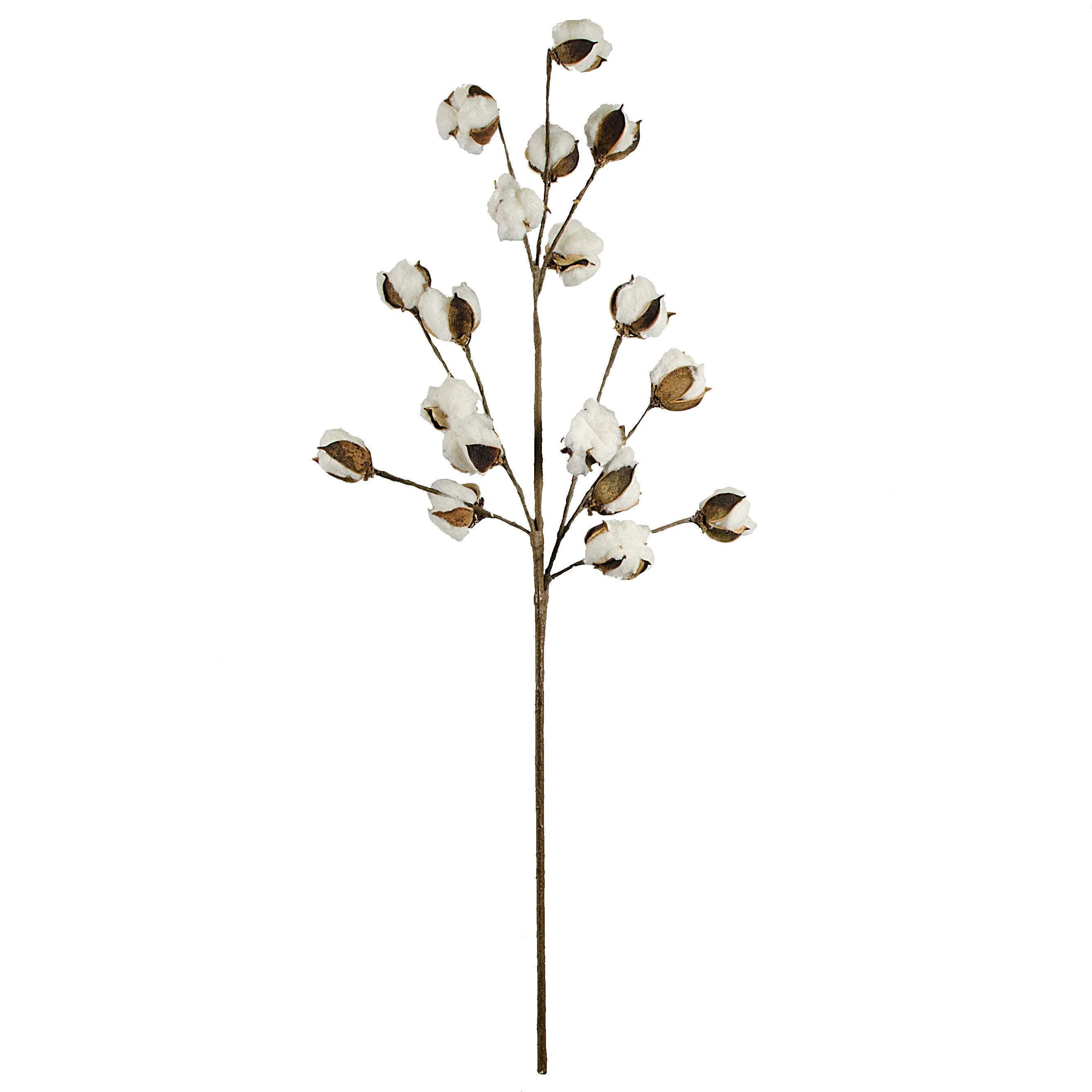 Cotton Boll Floral Spray: 32" Item Number: FH7540