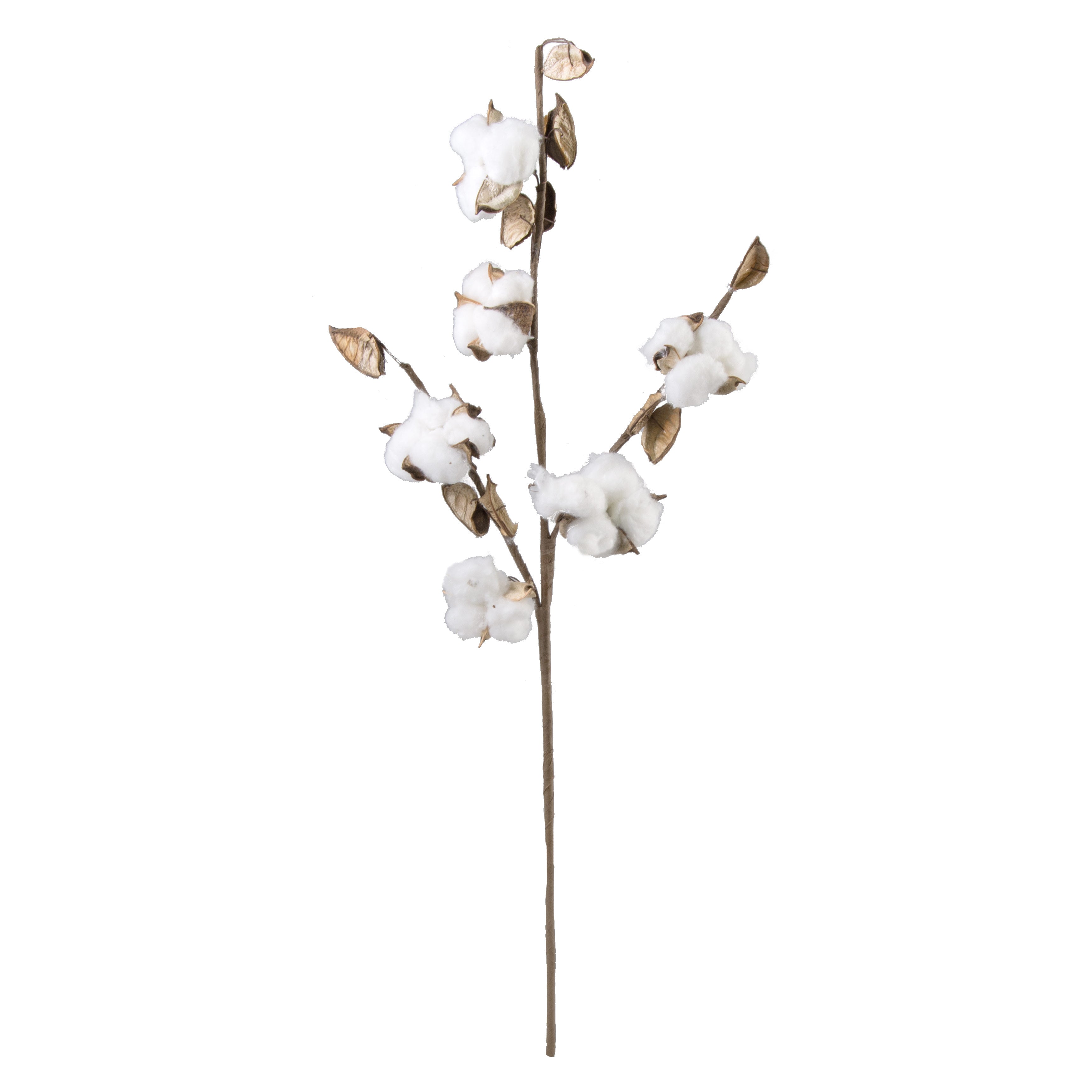 22" Cotton Boll Hull Spray: Natural Item Number: 257940