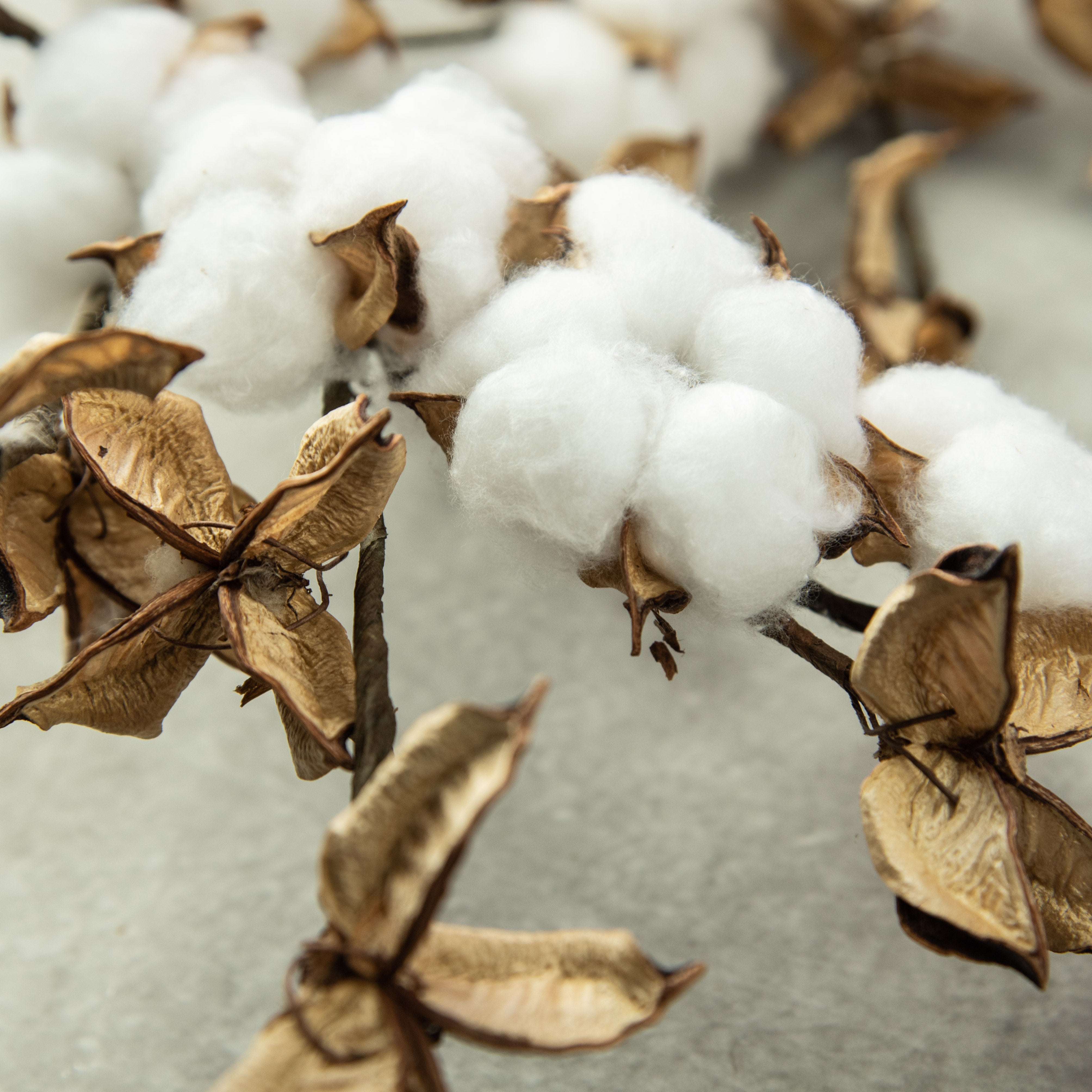 6' Cotton & Cotton Pod Garland detail photo 3