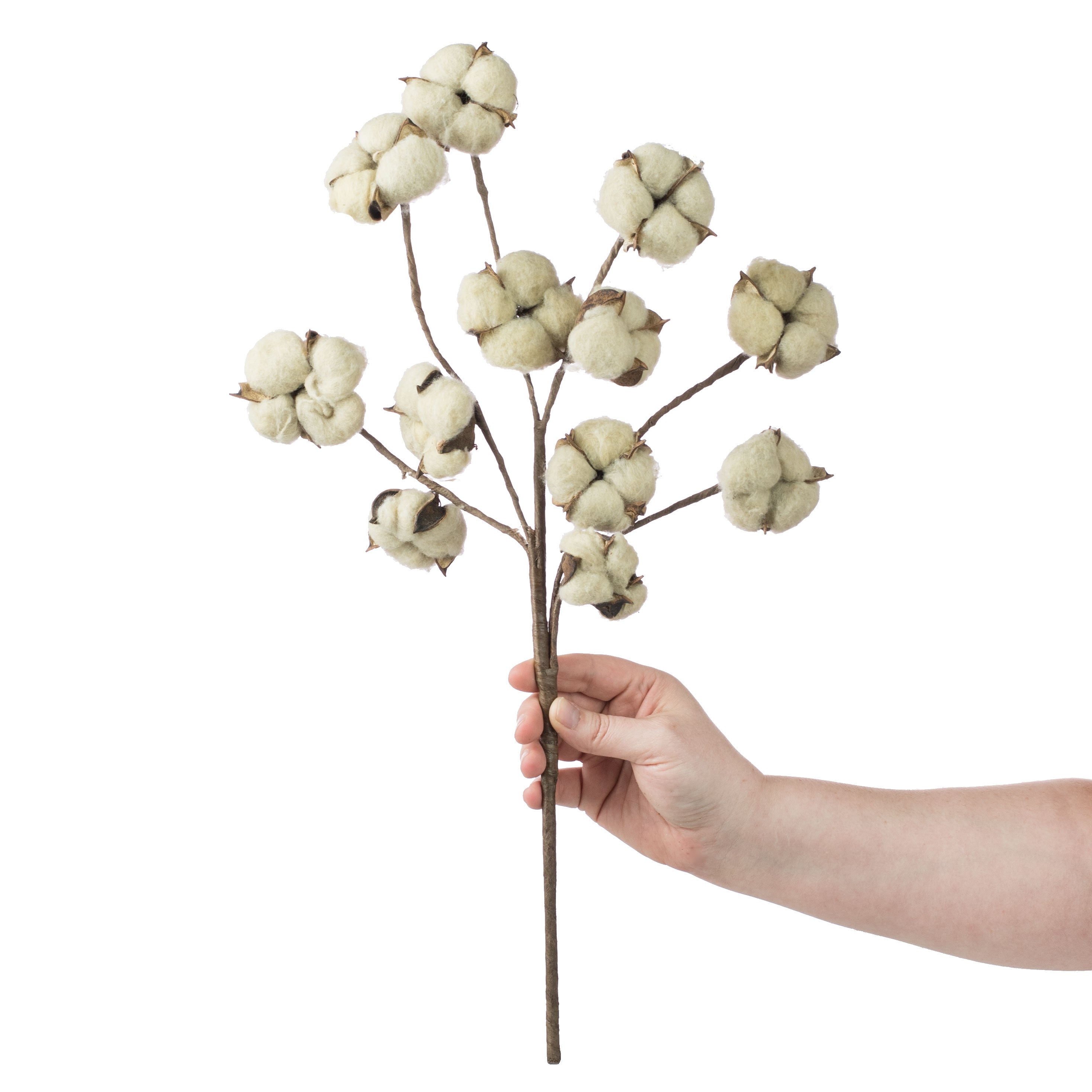 24" Cotton Spray: Tea Stain Lifestyle Photo