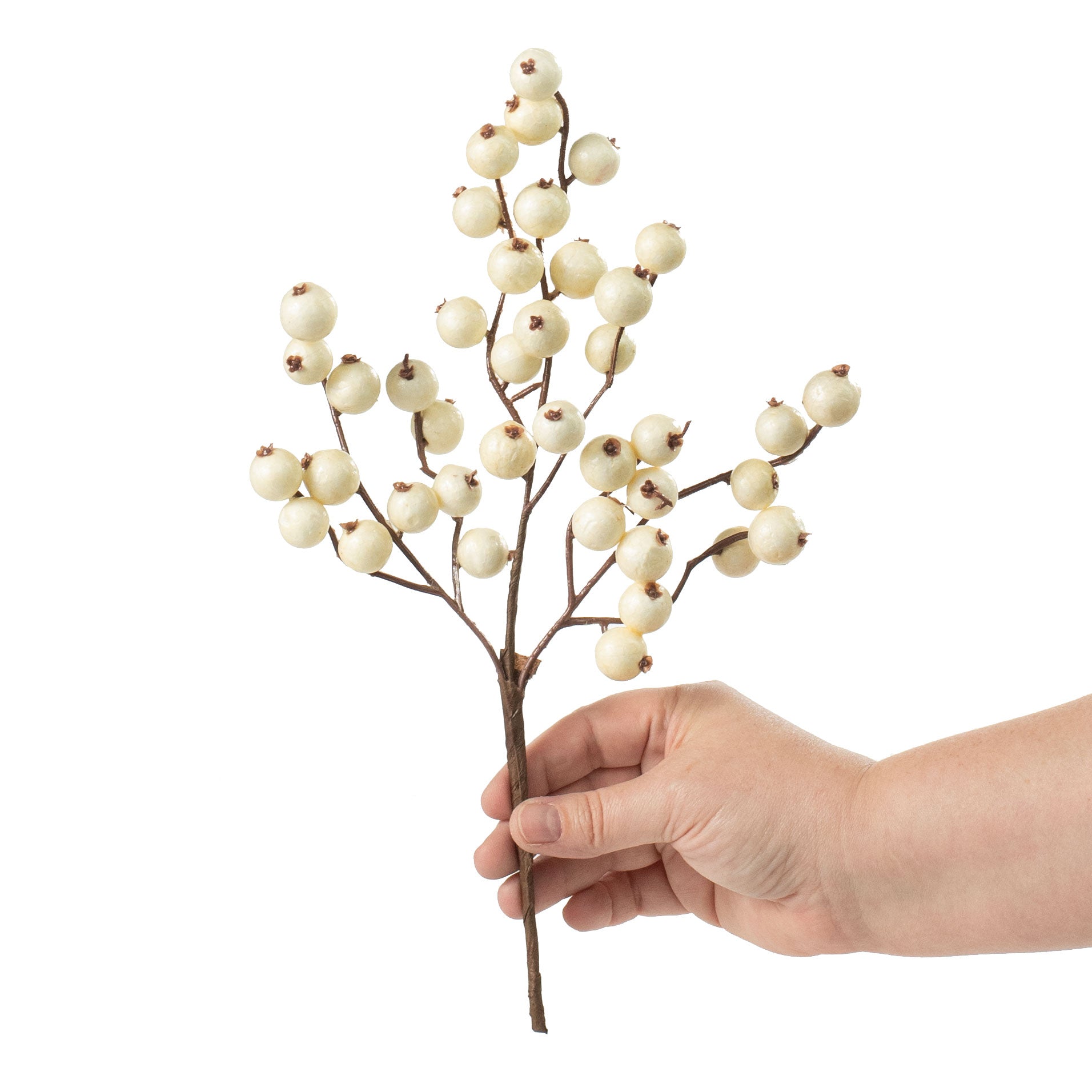 12" Crabapple Pick: Ivory Lifestyle Photo