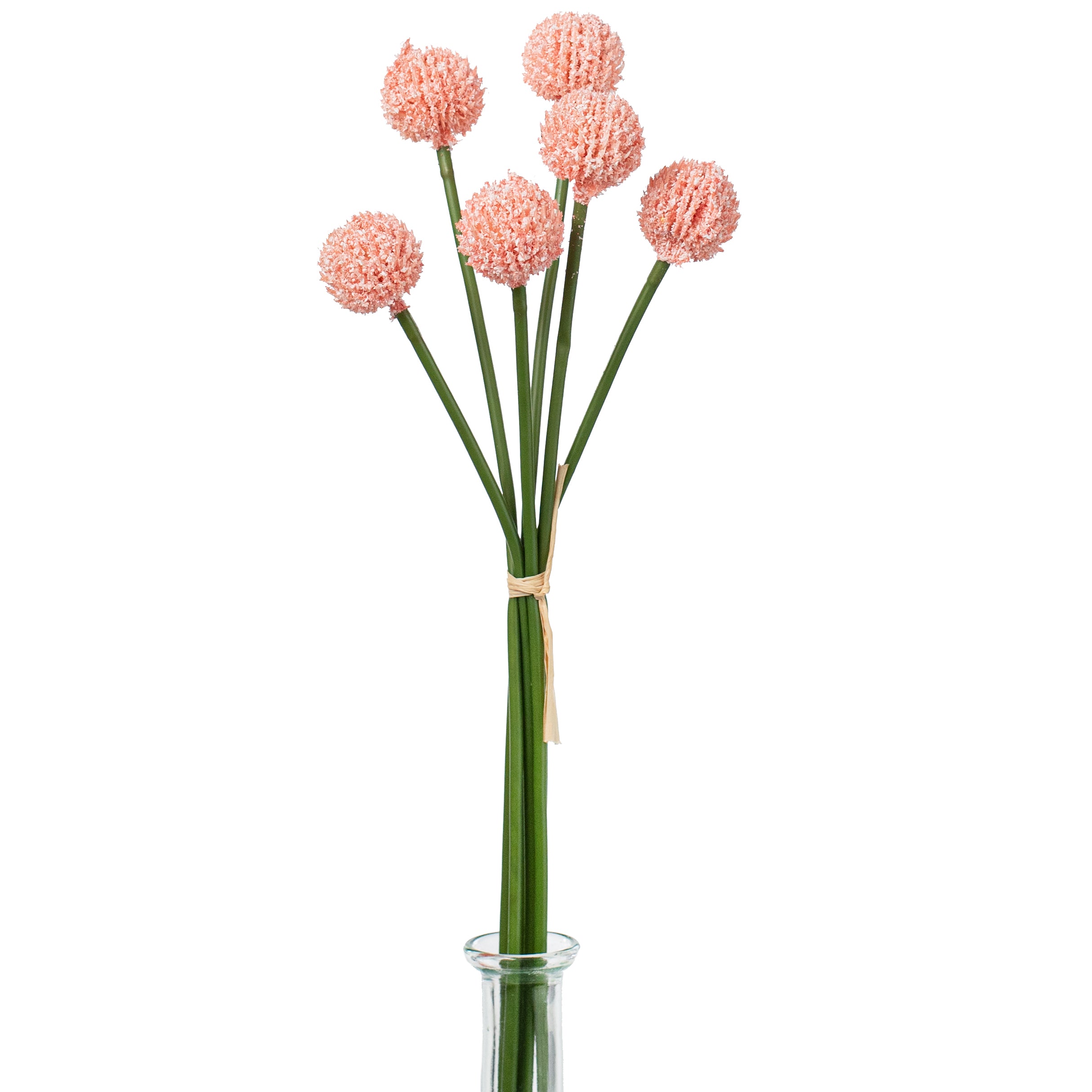 16" Craspedia Billy Balls: Pink Item Number: 2150140PK