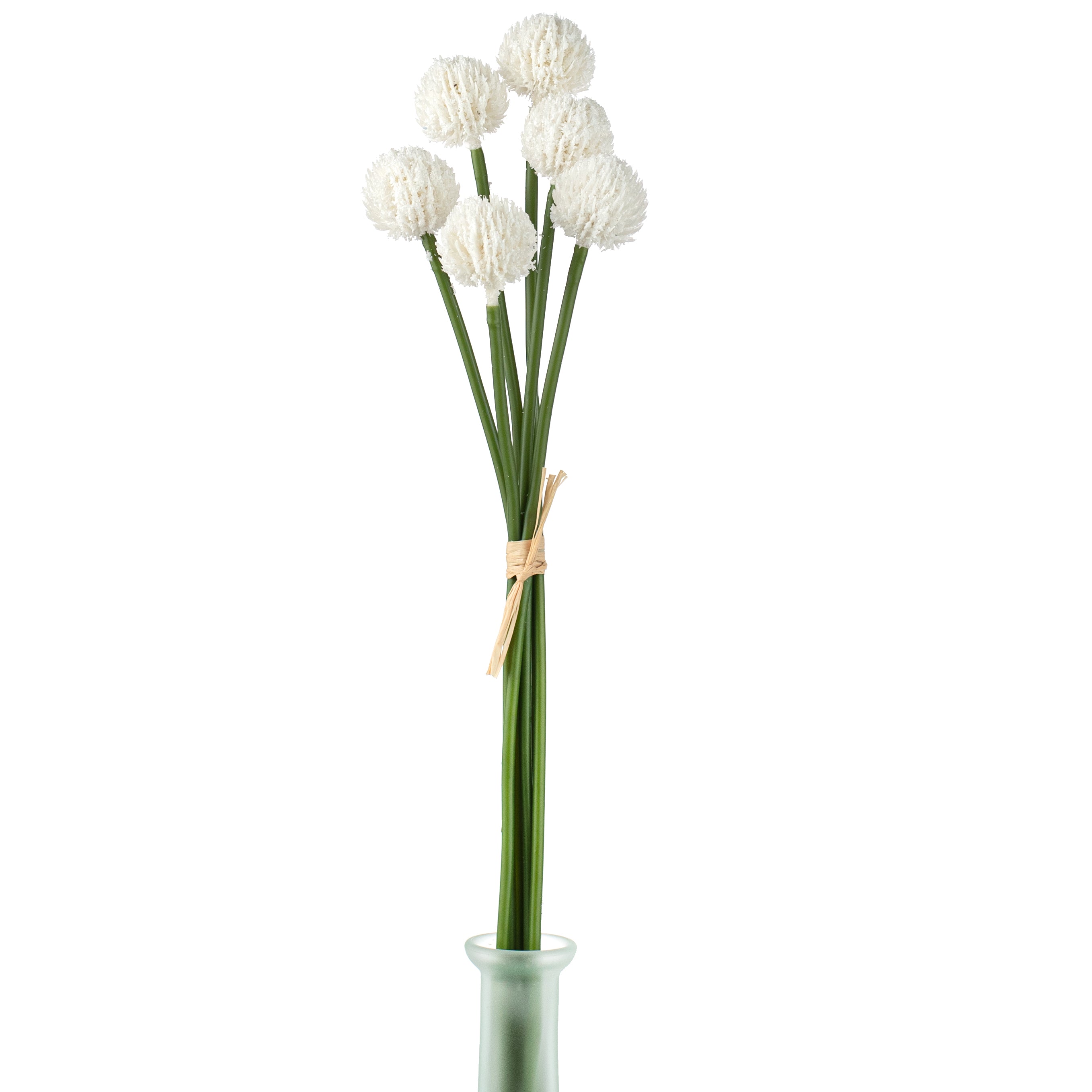 16" Craspedia Billy Balls: White Item Number: 2150140WH