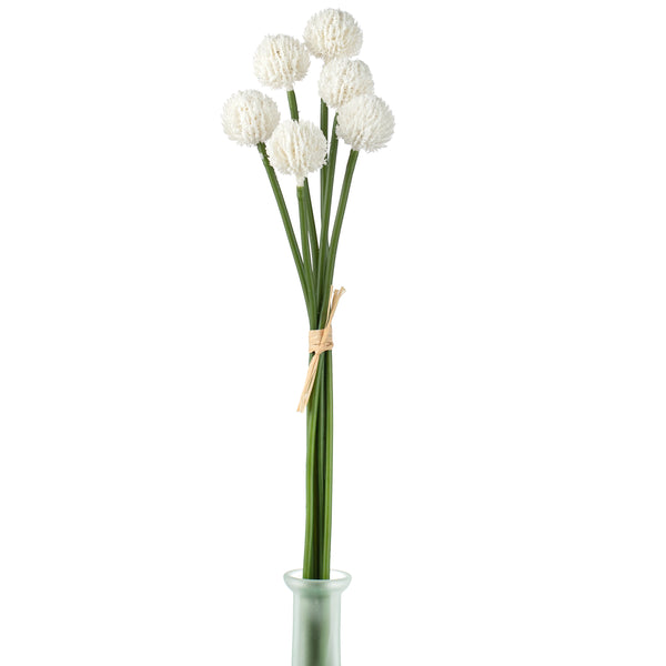billy ball flower seeds 16" Craspedia Billy Balls: White