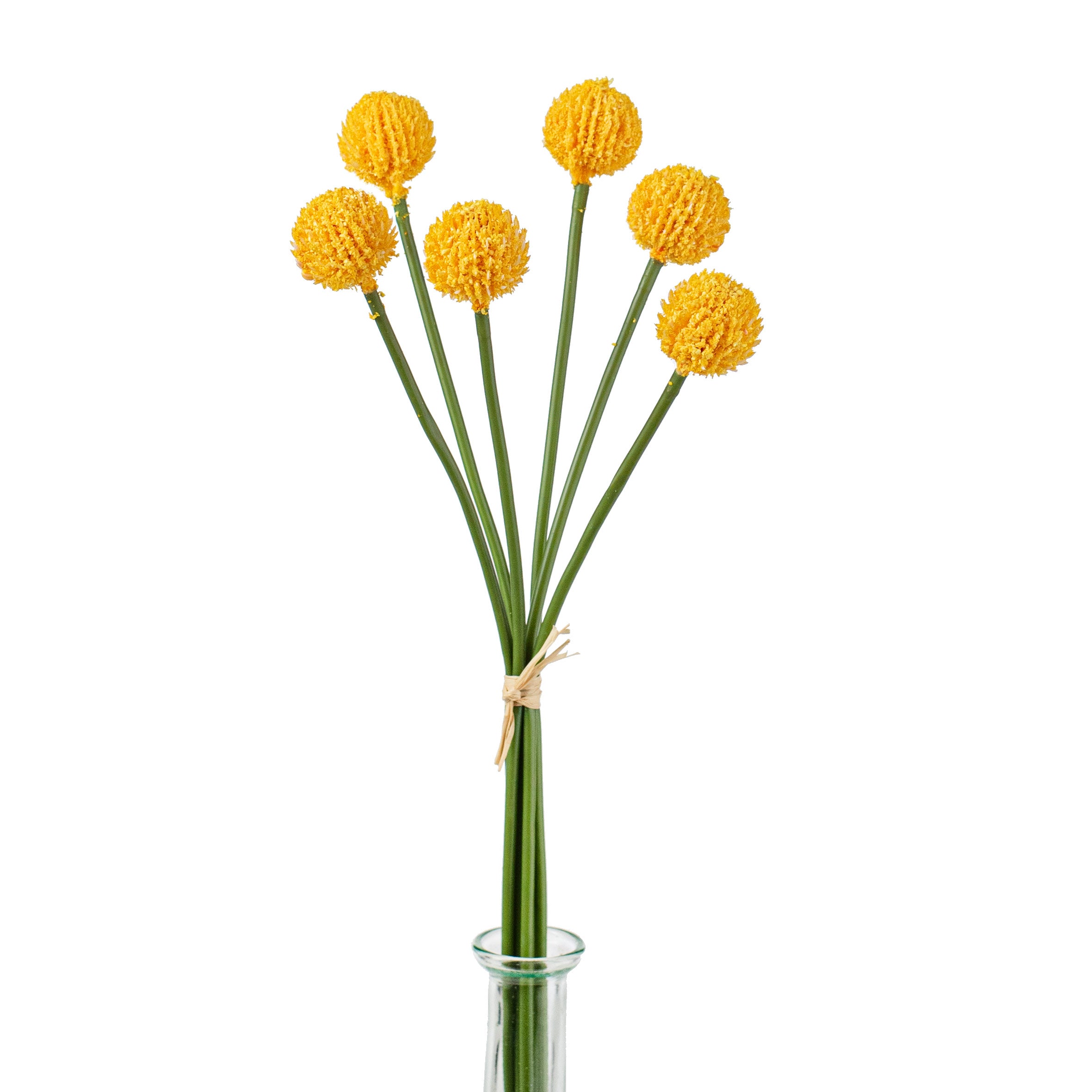 16" Craspedia Billy Balls: Yellow Gold Item Number: 2150140YL