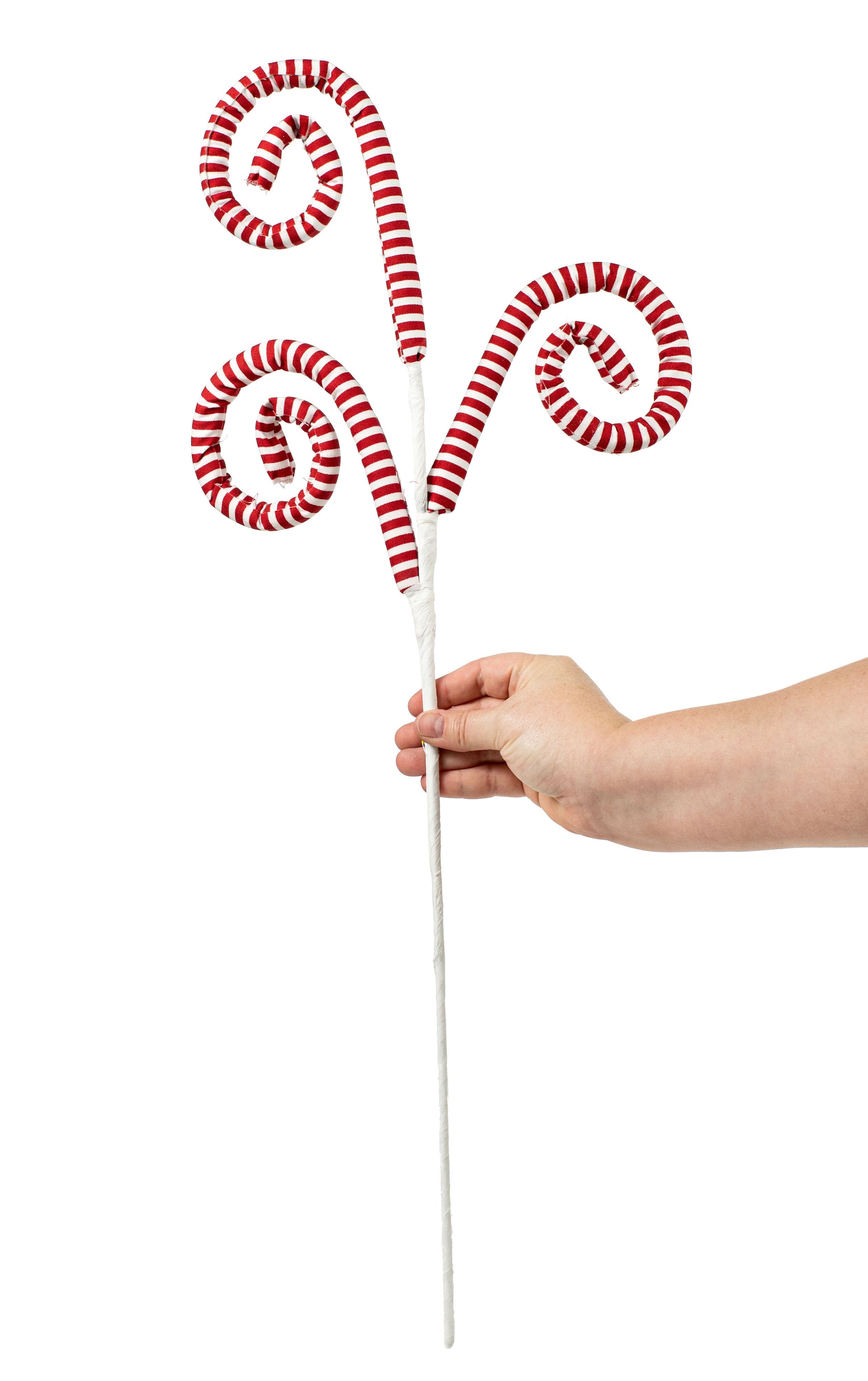 33" Curly Canvas Spray: Red & White Lifestyle Photo