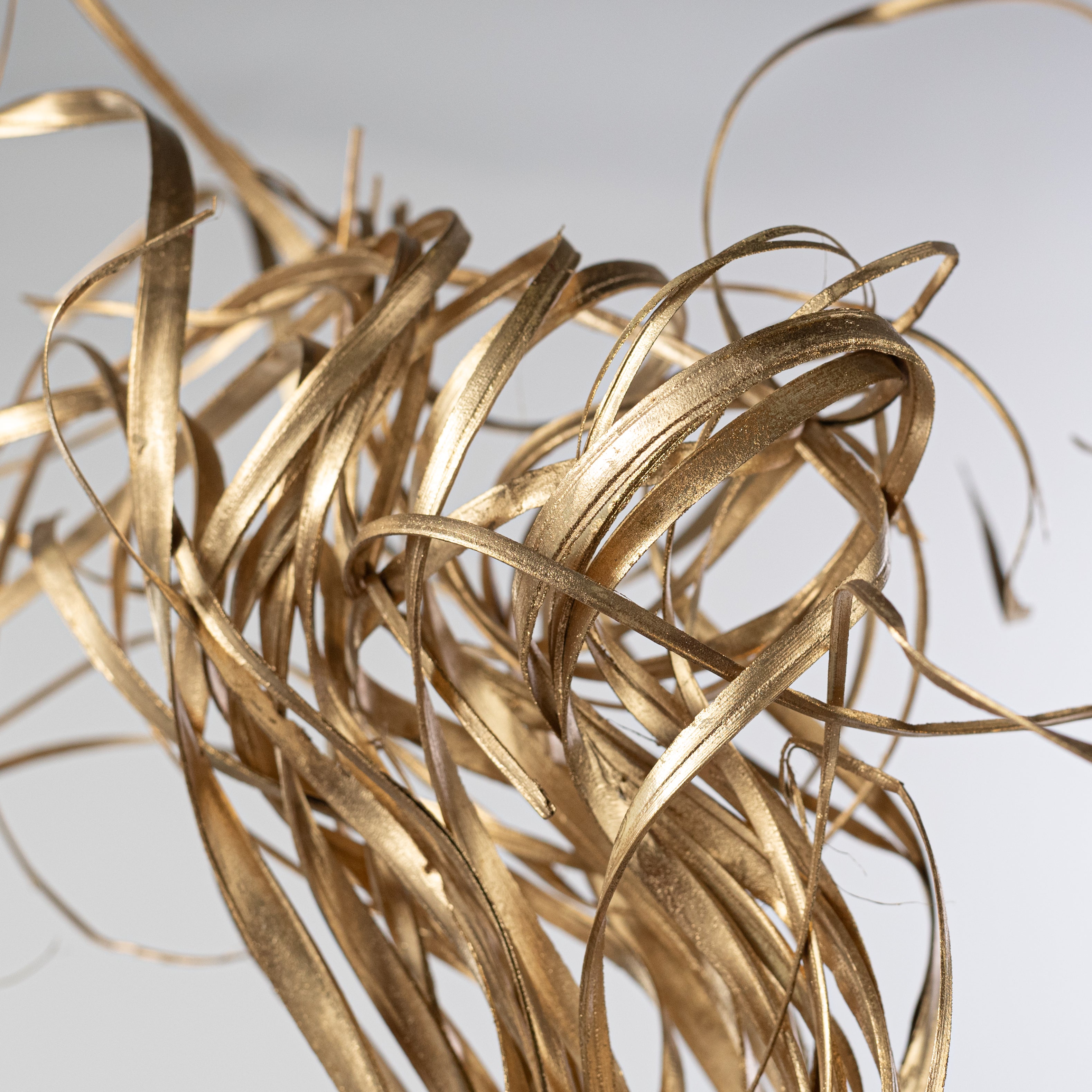 27" Curly Palmyra Palm Grass Bundle: Gold Lifestyle Photo