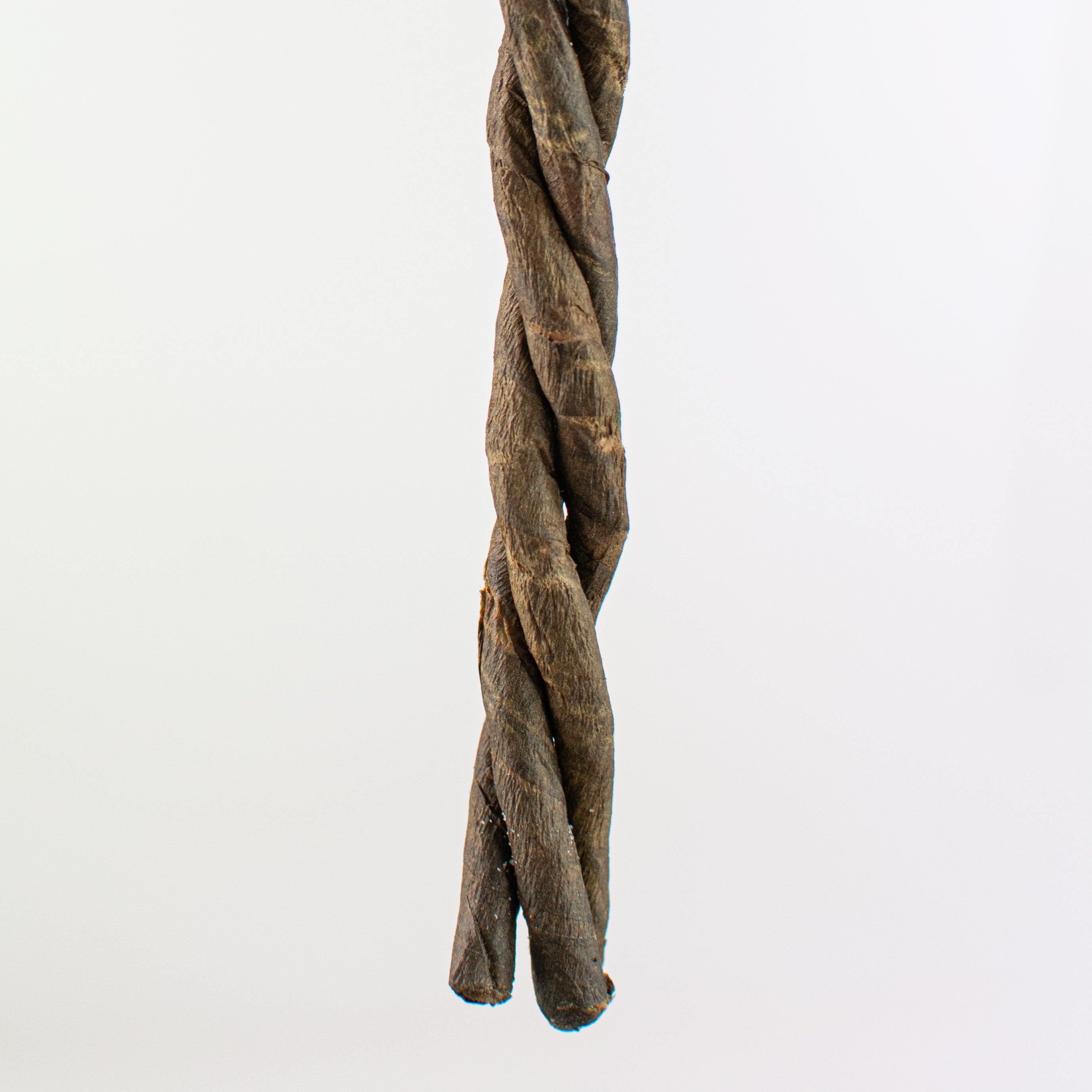 28" Curly Willow Twig detail photo 4