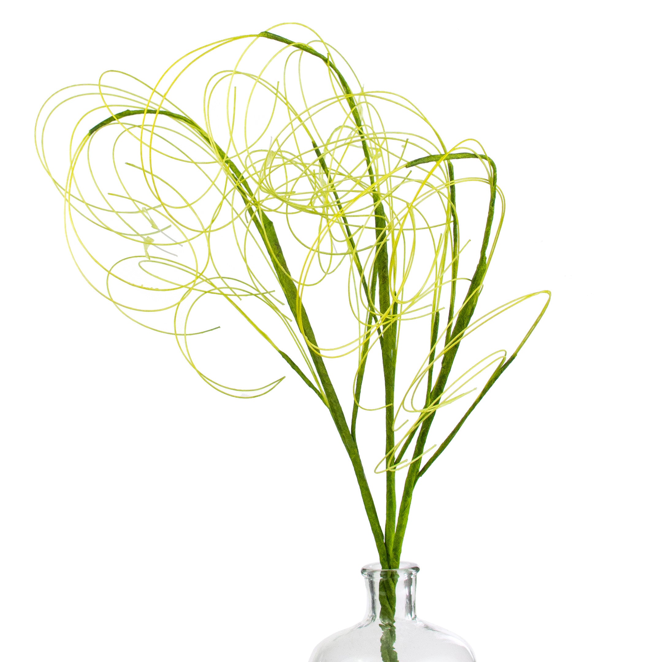 28" Curly Willow Twig: Green Item Number: 53952-GN