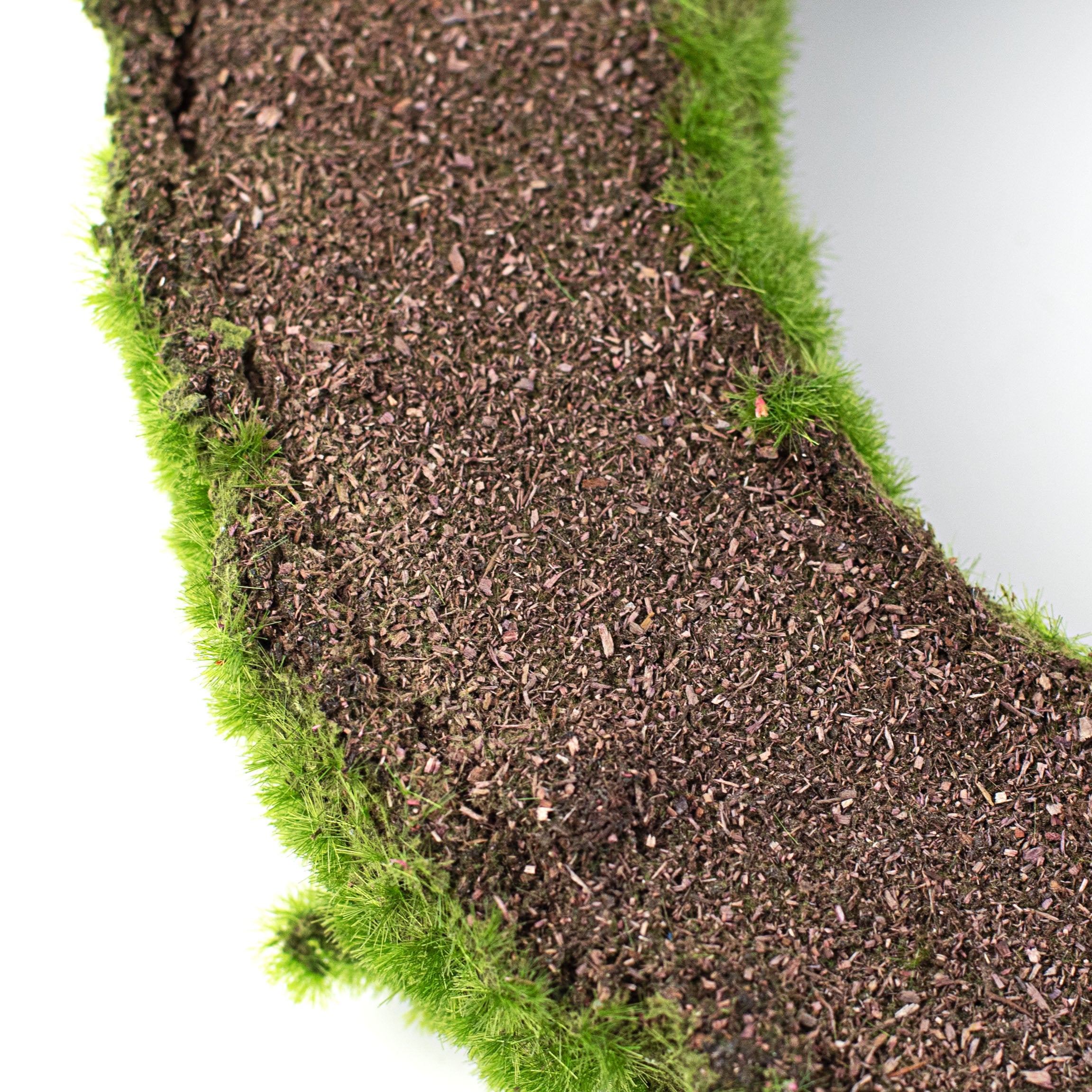 12" Cushion Moss Wreath detail photo 4