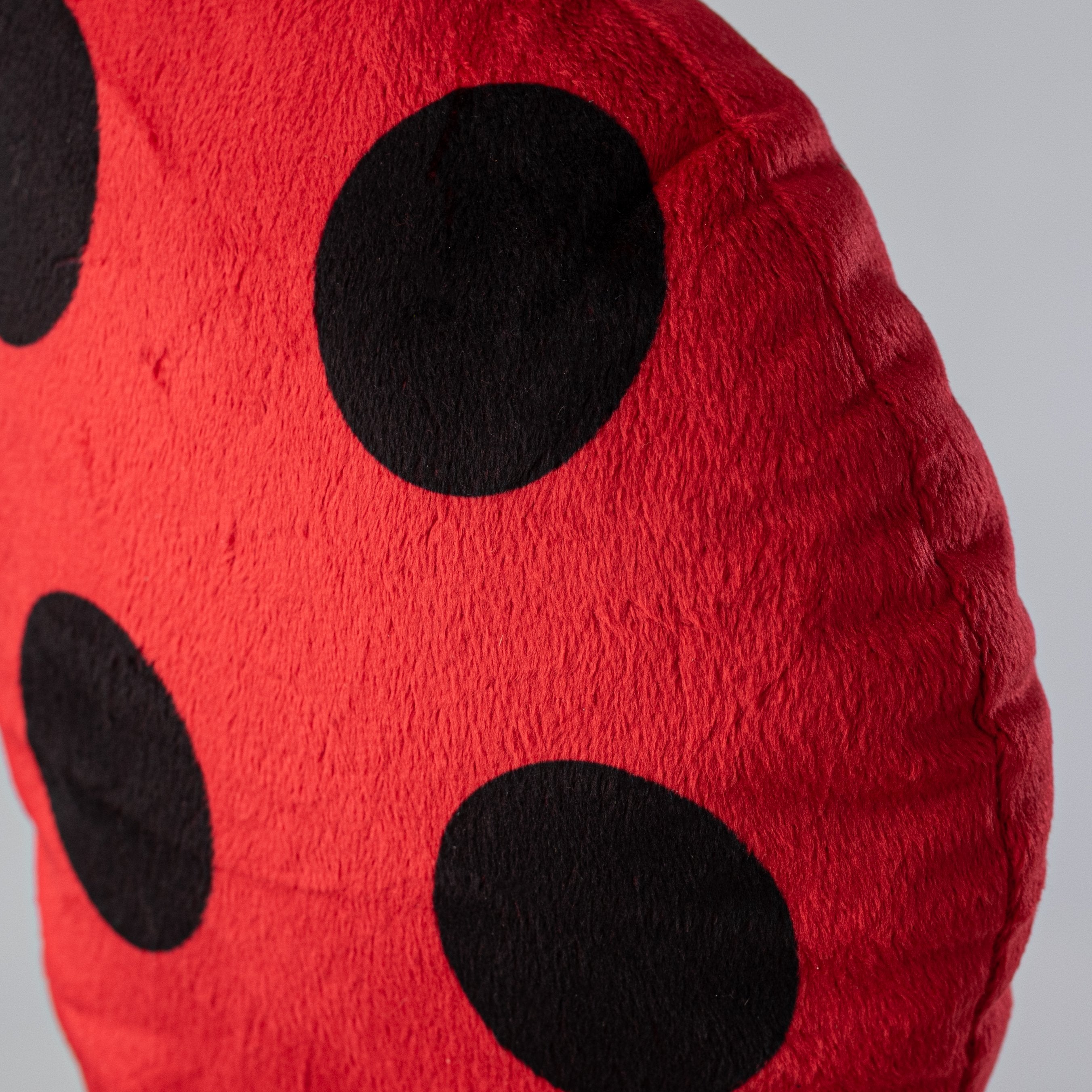 Cute Ladybug Wreath Decorating Kit (3 Pieces) detail photo 4