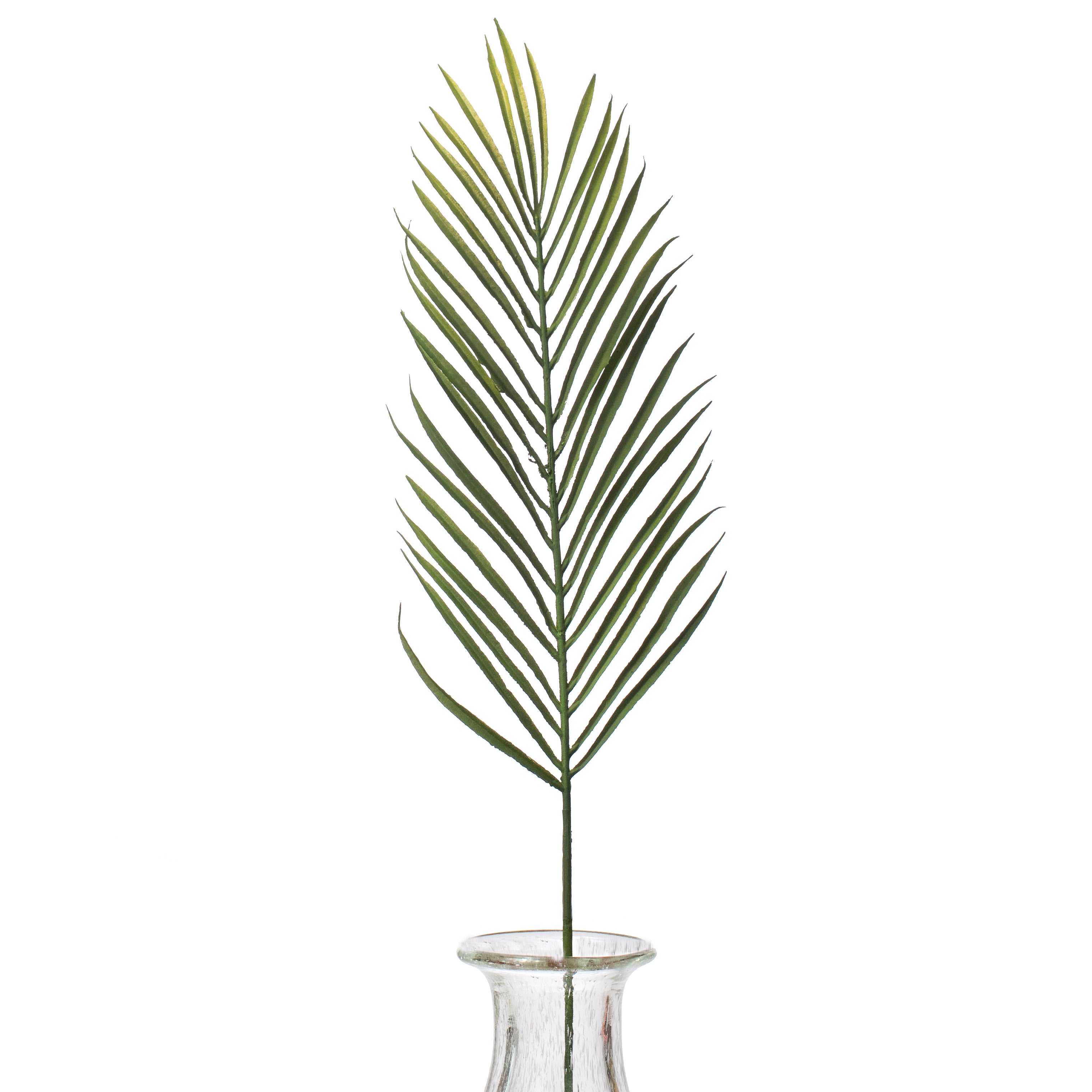 28" Cycas Palm Stem Item Number: 13404GN
