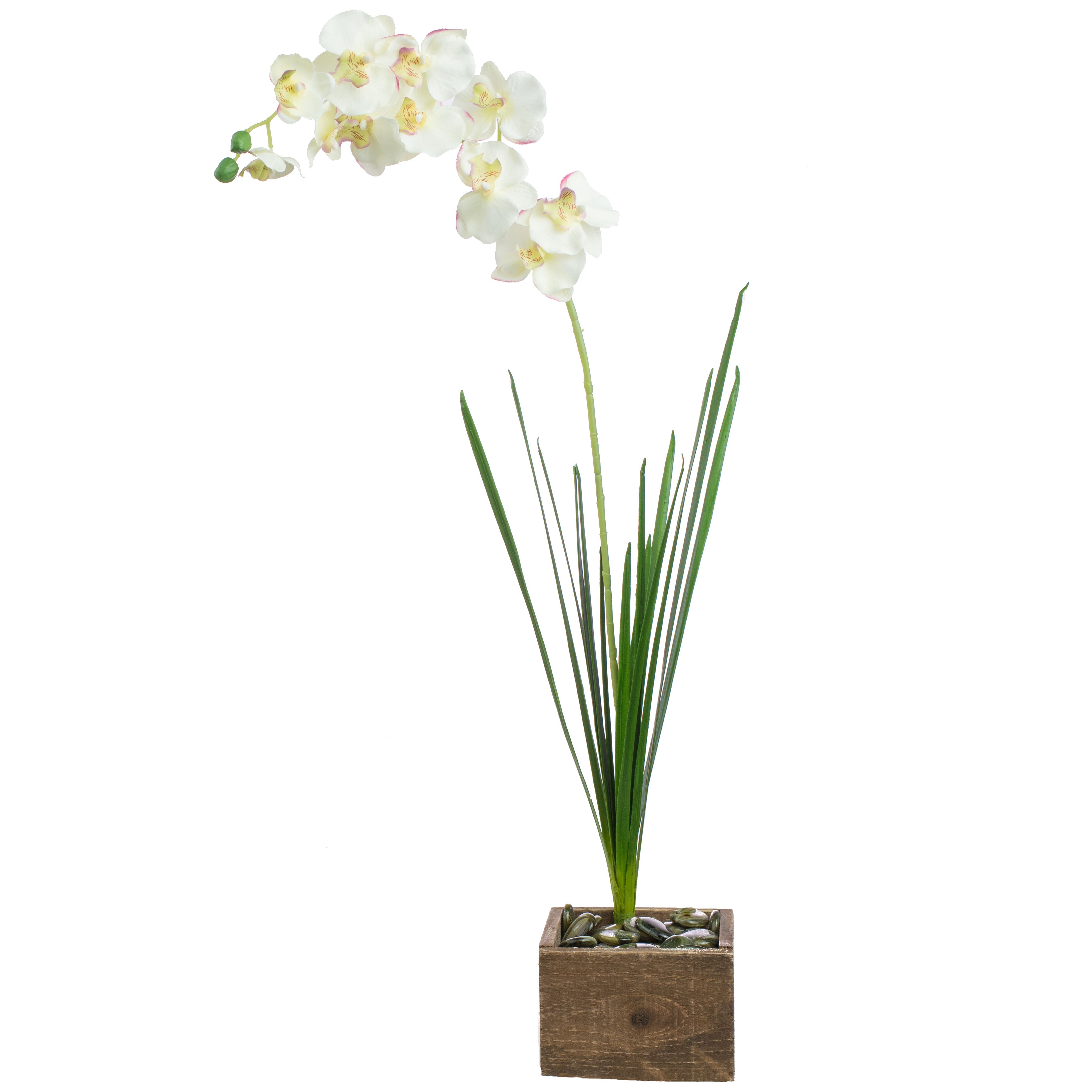 26" Cymbidium Orchid Leaf Spray Lifestyle Photo