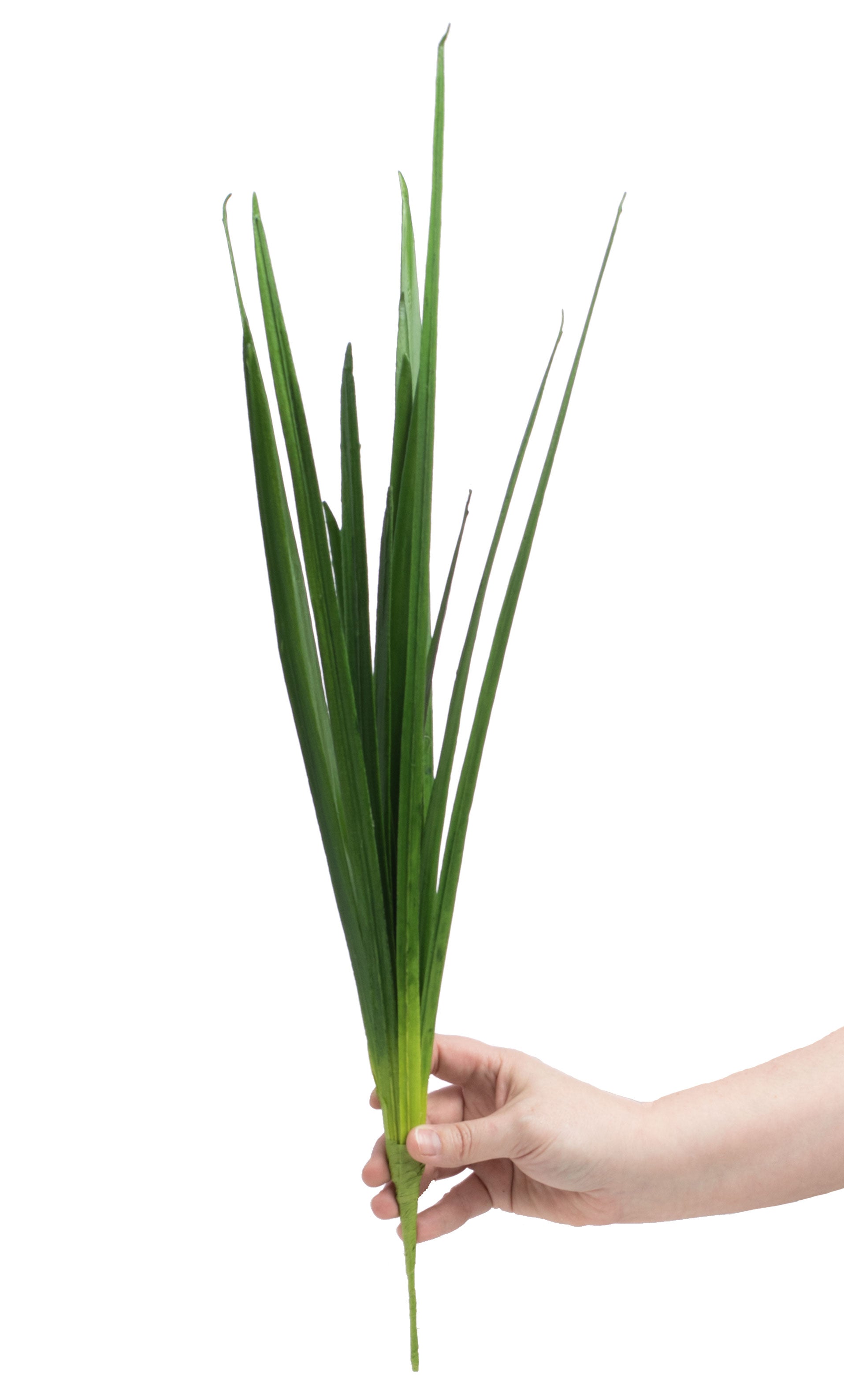 26" Cymbidium Orchid Leaf Spray detail photo 3