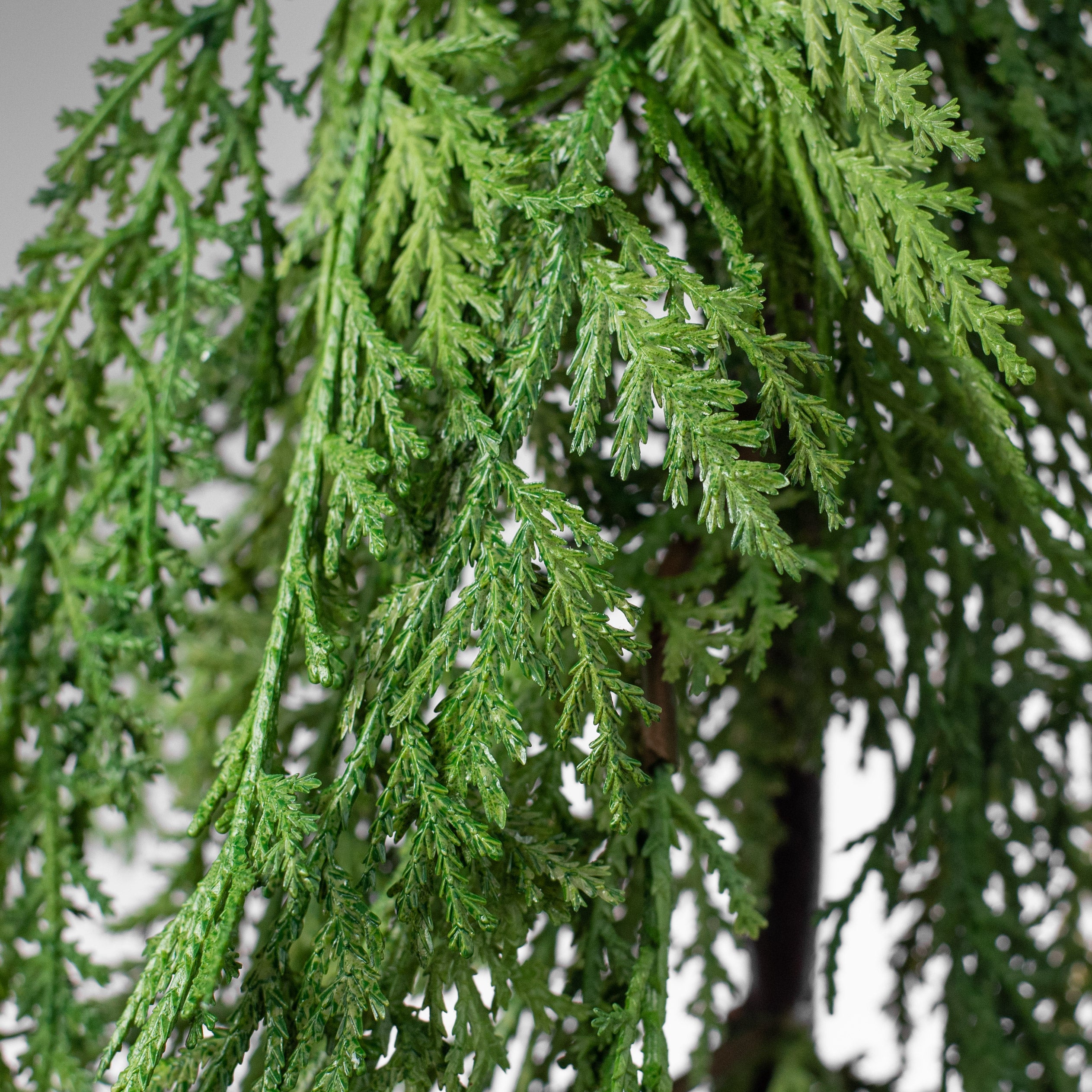 6' Cypress Pine Garland detail photo 3
