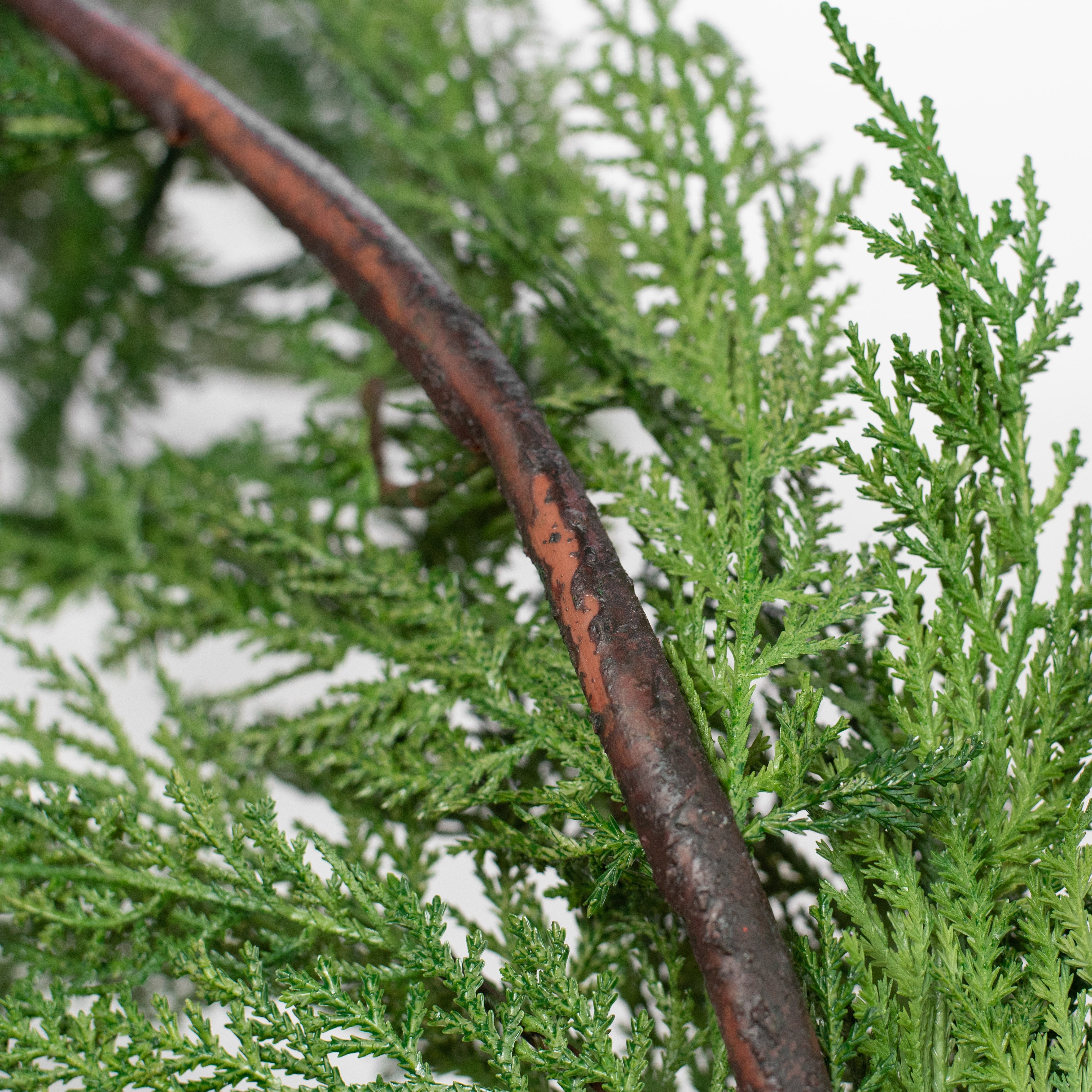 6' Cypress Pine Garland detail photo 4