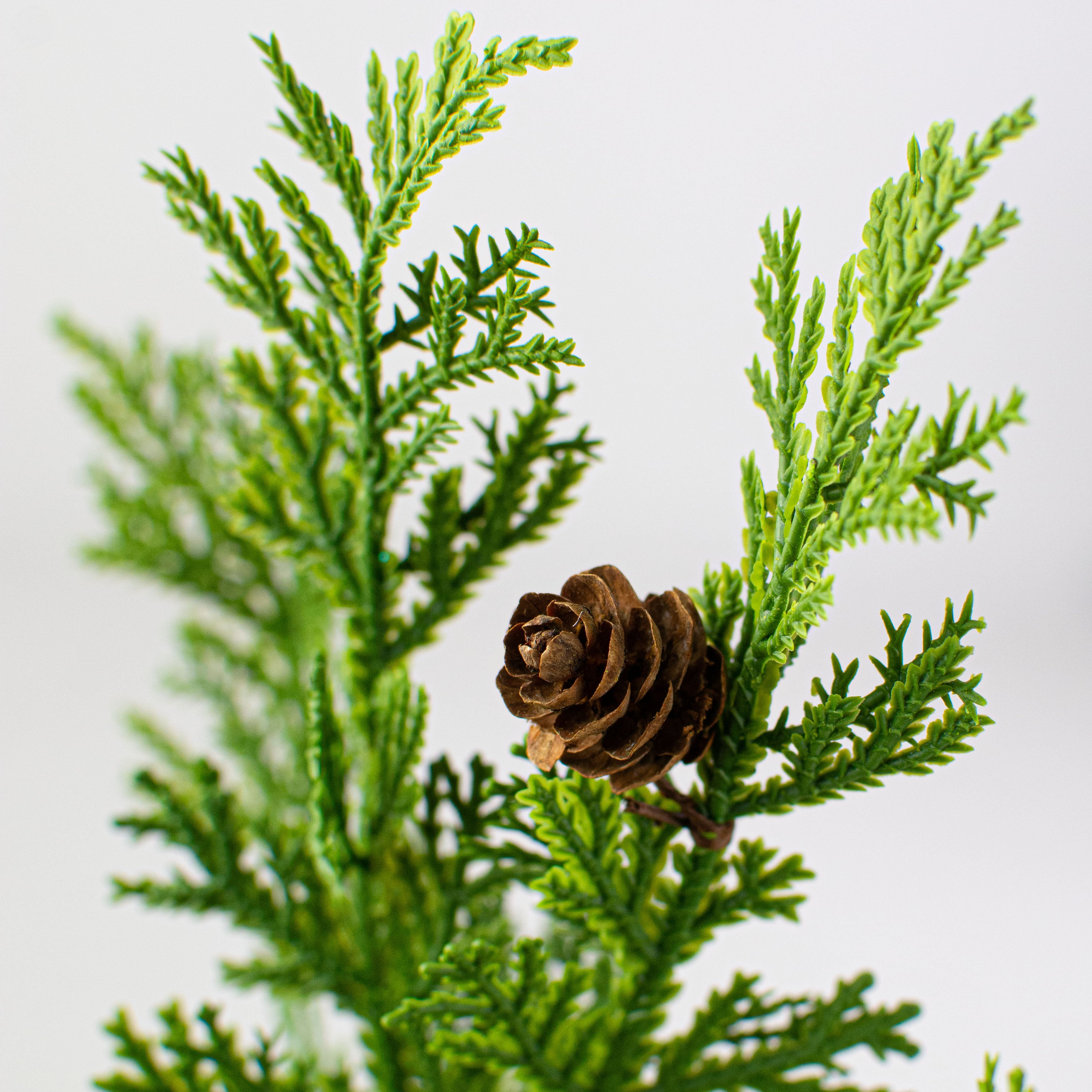10" Cypress Pine With Pinecone Pick Lifestyle Photo