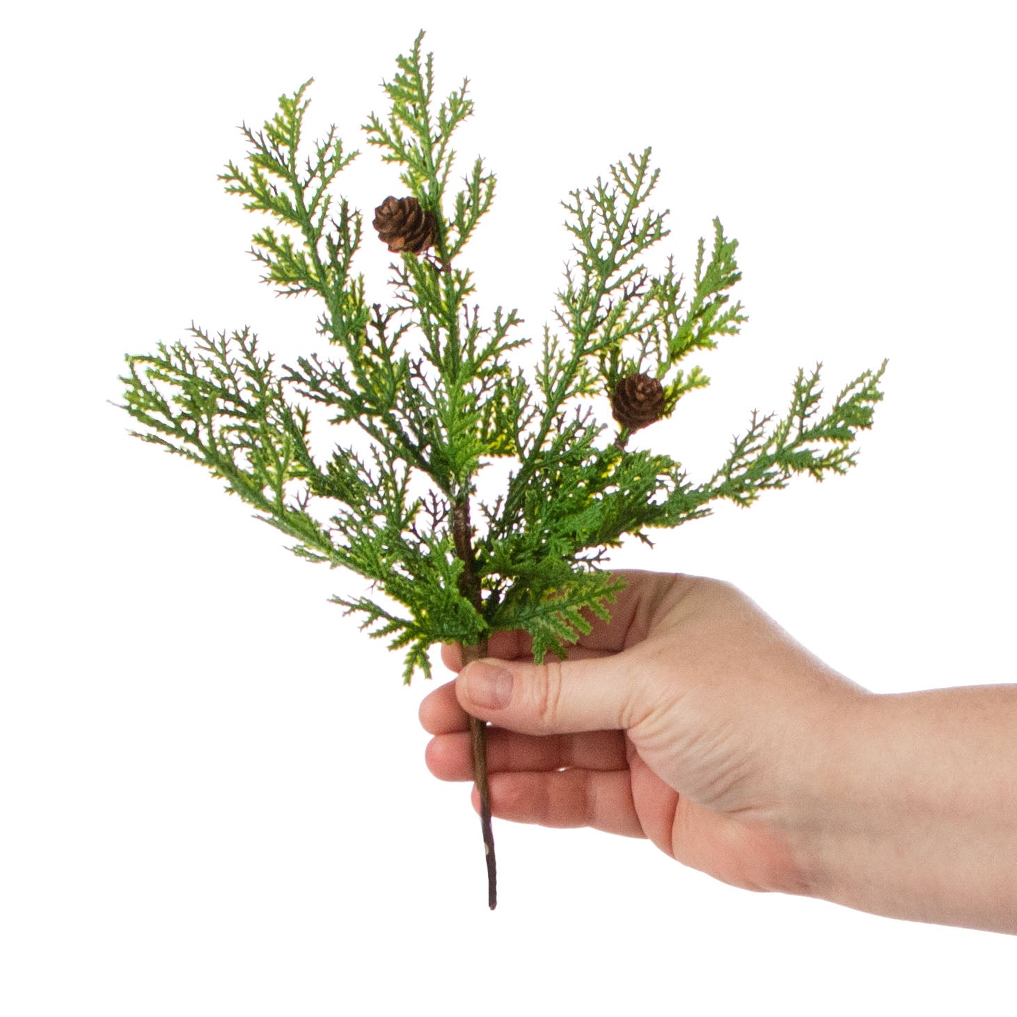 10" Cypress Pine With Pinecone Pick detail photo 3