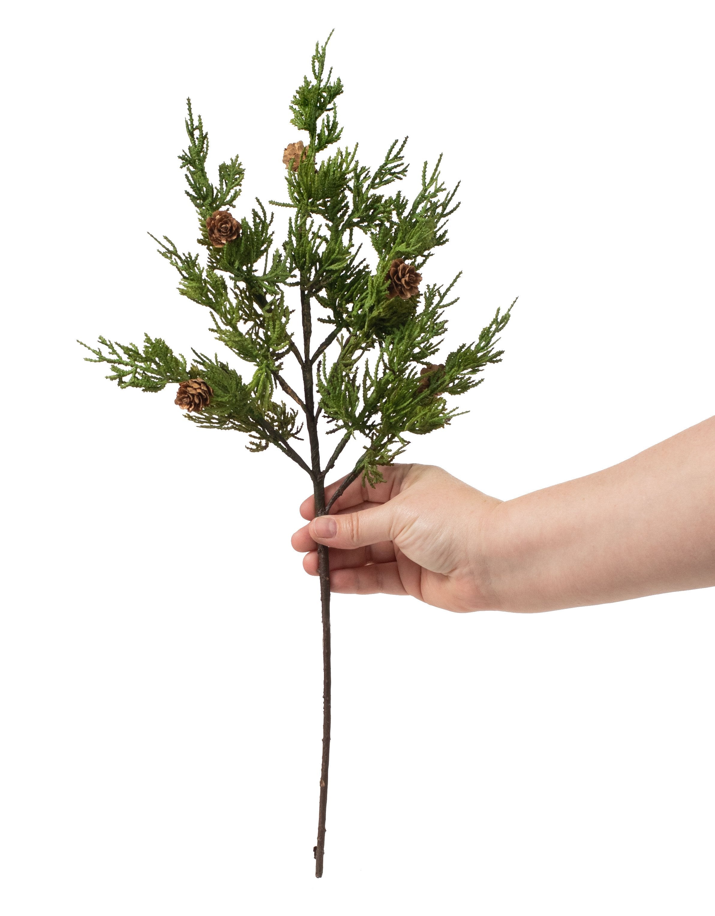 21" Cypress Pine With Pinecone Spray Lifestyle Photo